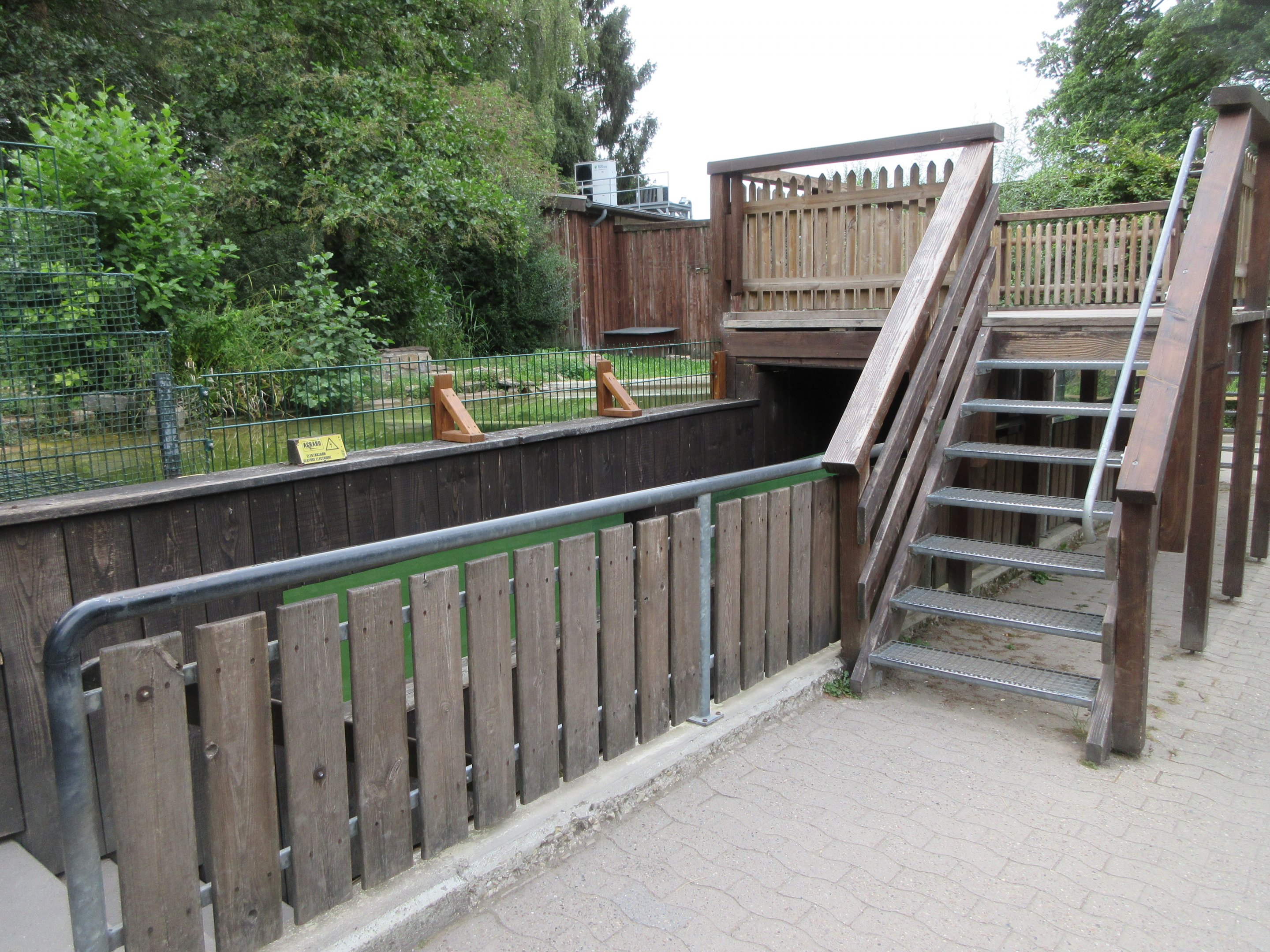 European Otter Exhibit