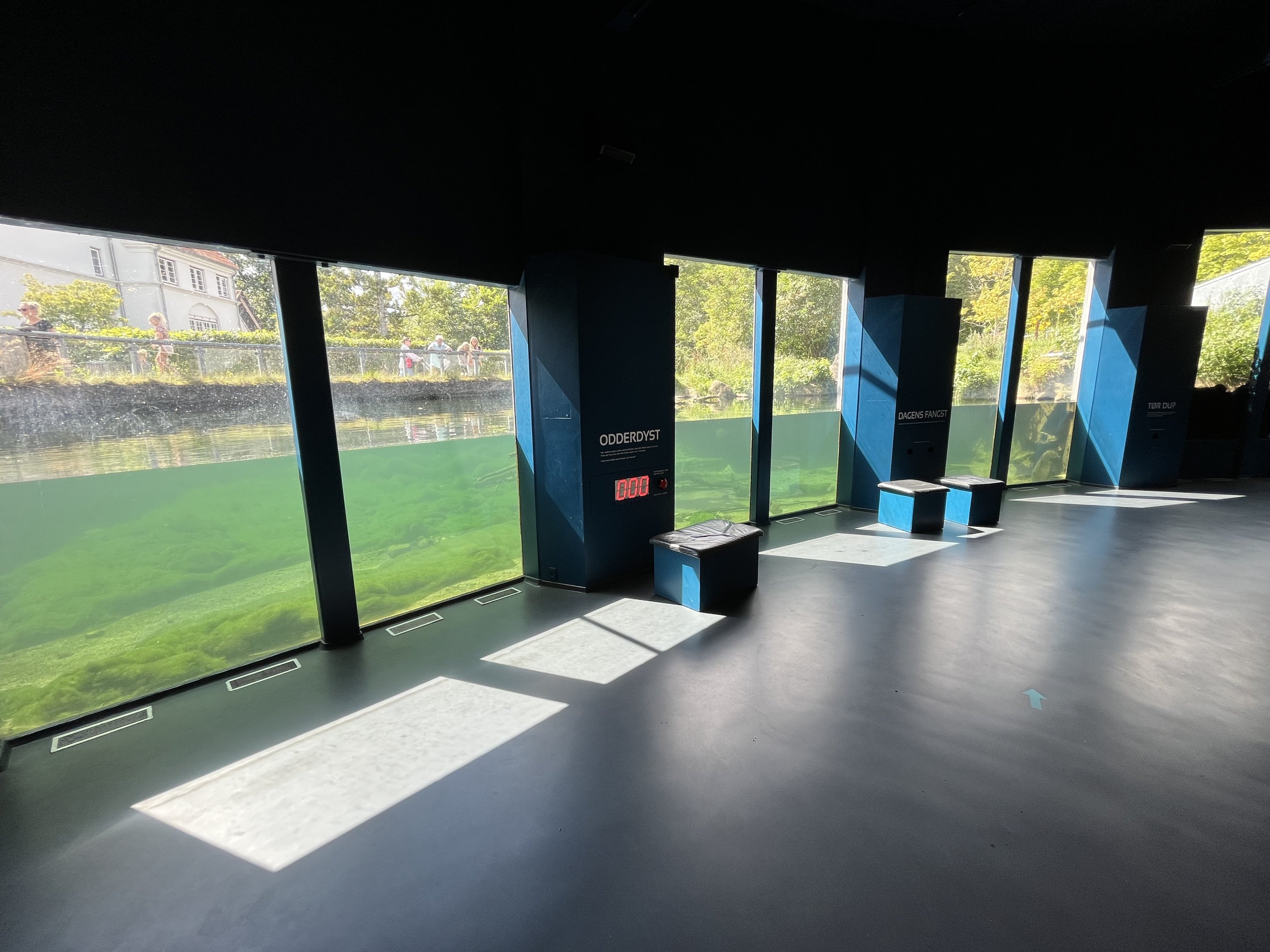 European Otter Exhibit