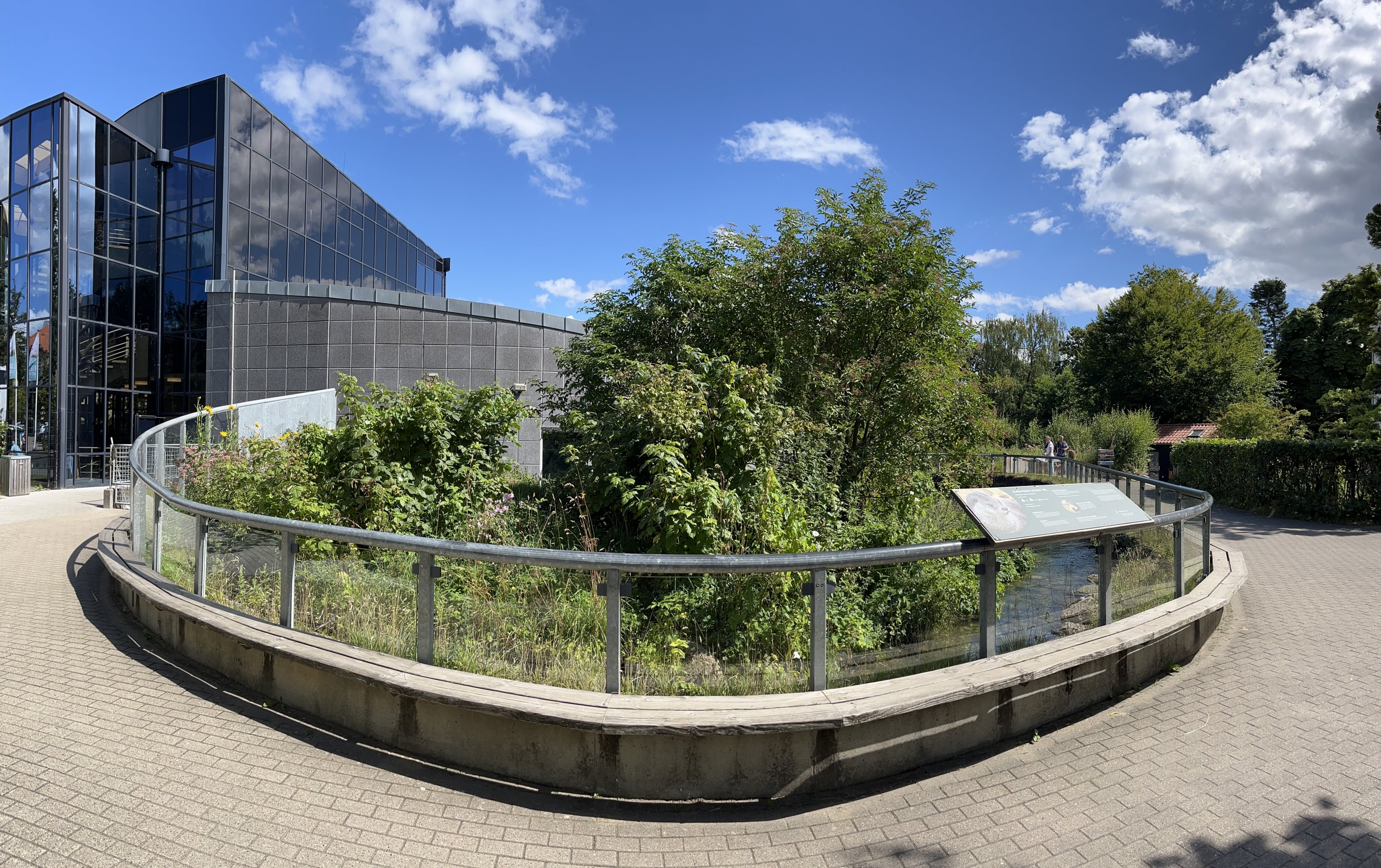 European Otter Exhibit