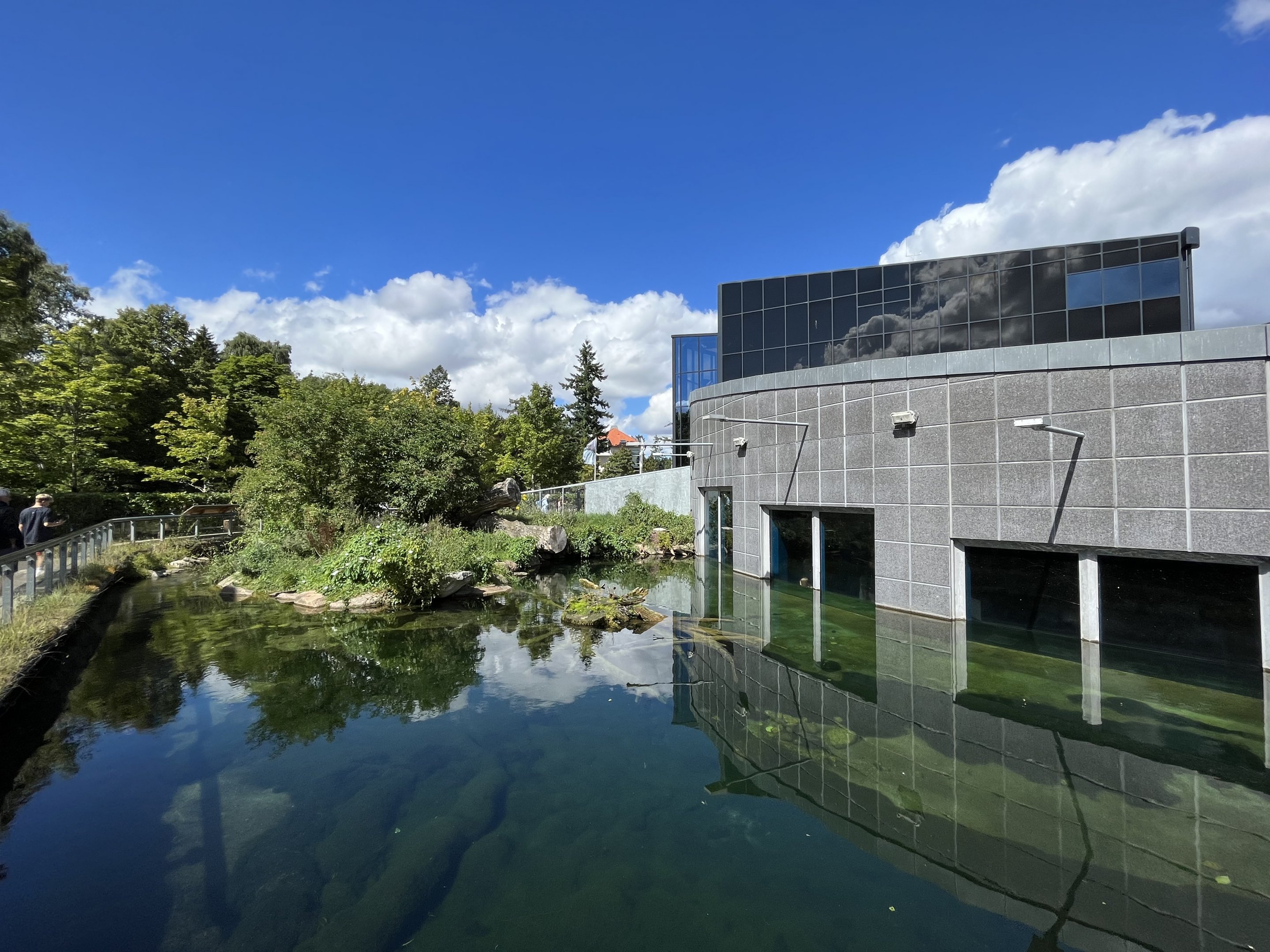 European Otter Exhibit