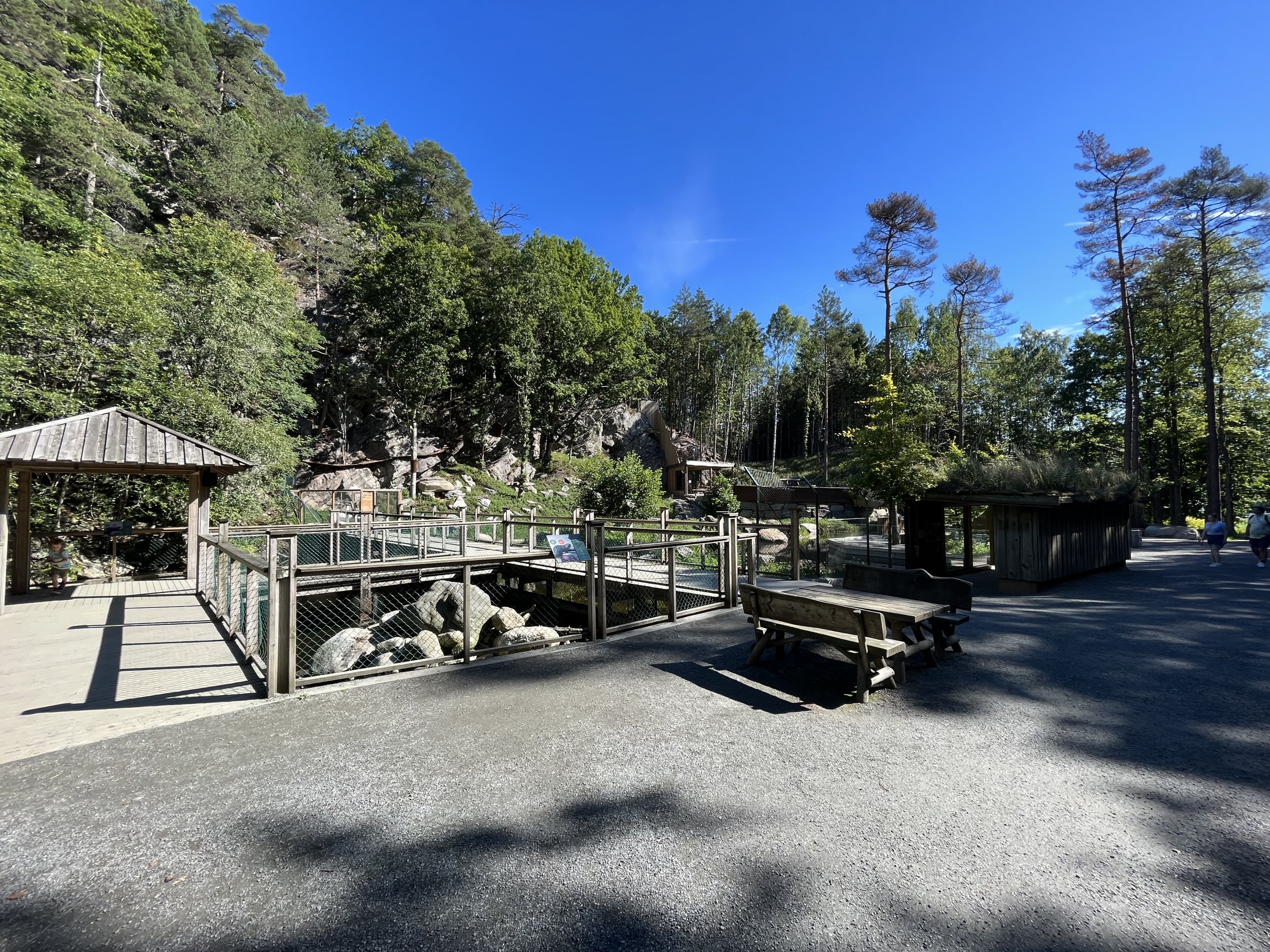European Otter Exhibit