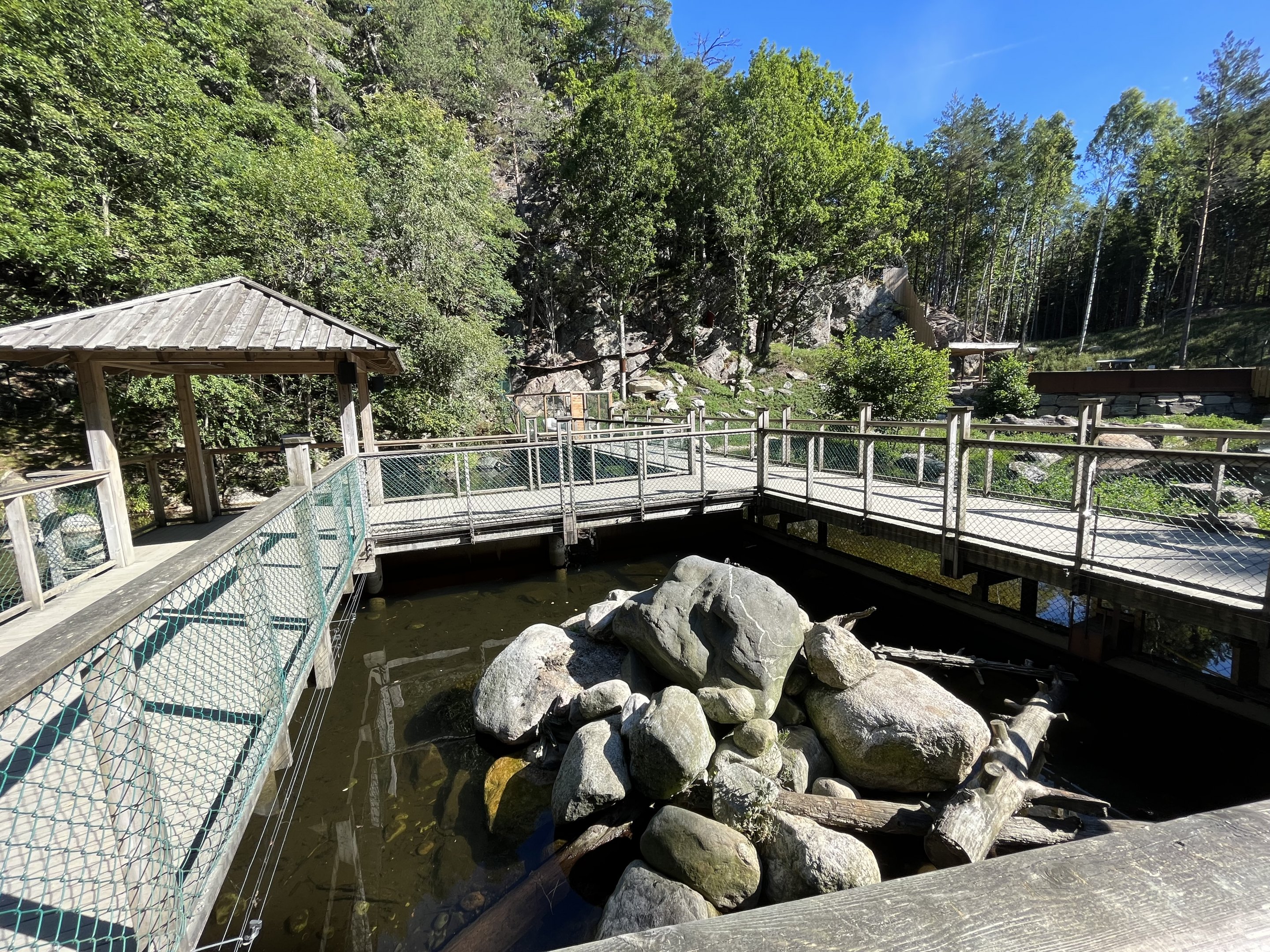 European Otter Exhibit