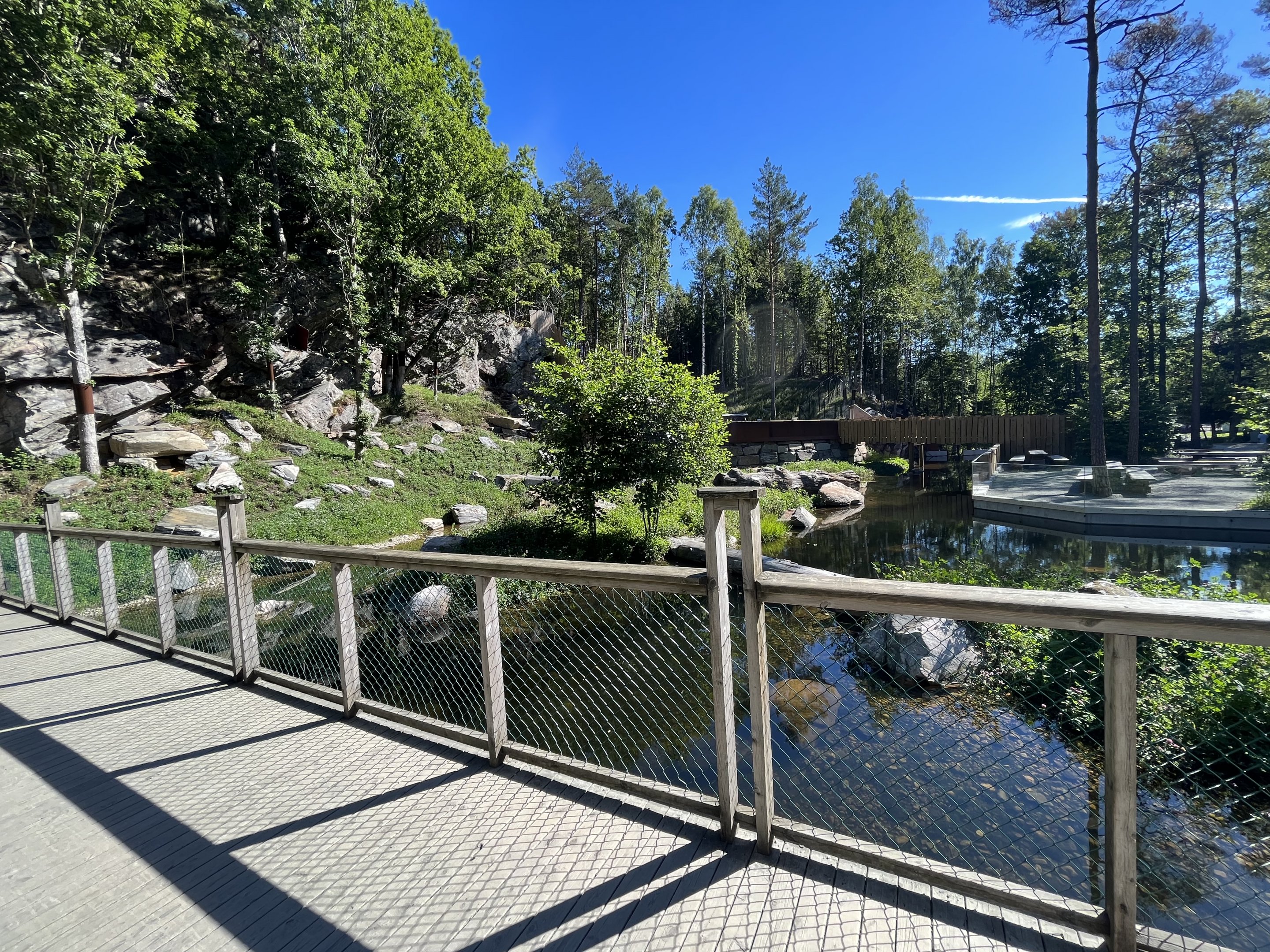 European Otter Exhibit