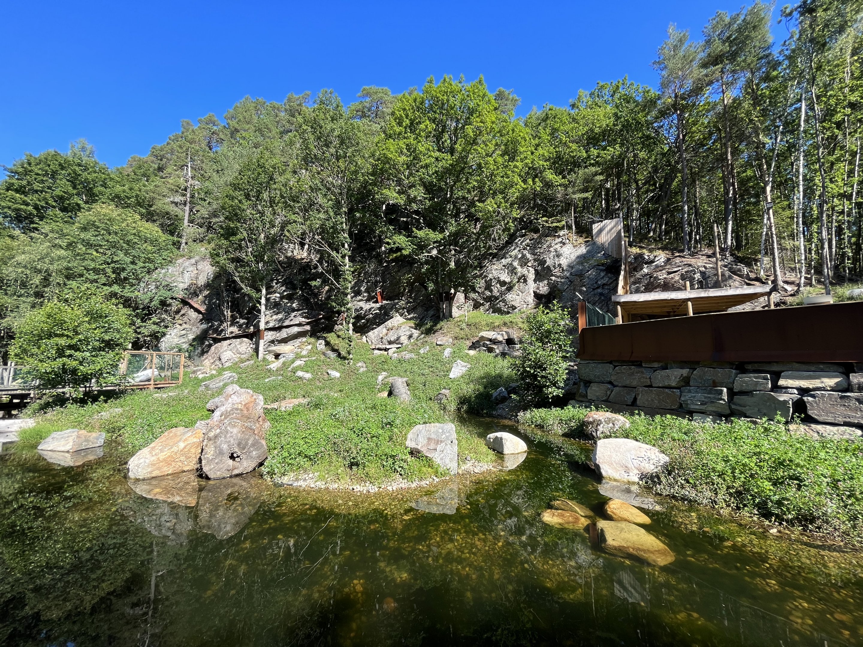European Otter Exhibit