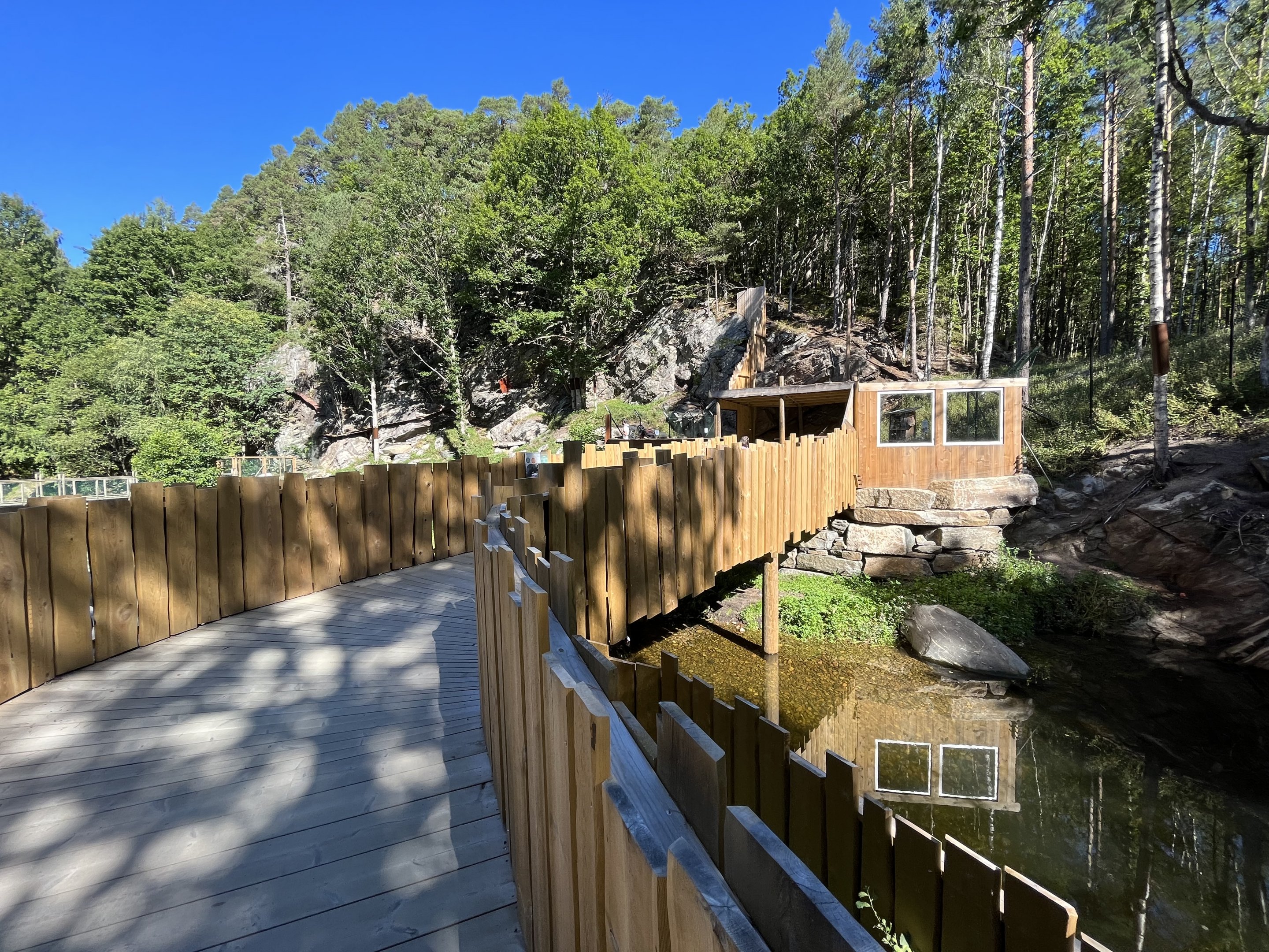 European Otter Exhibit
