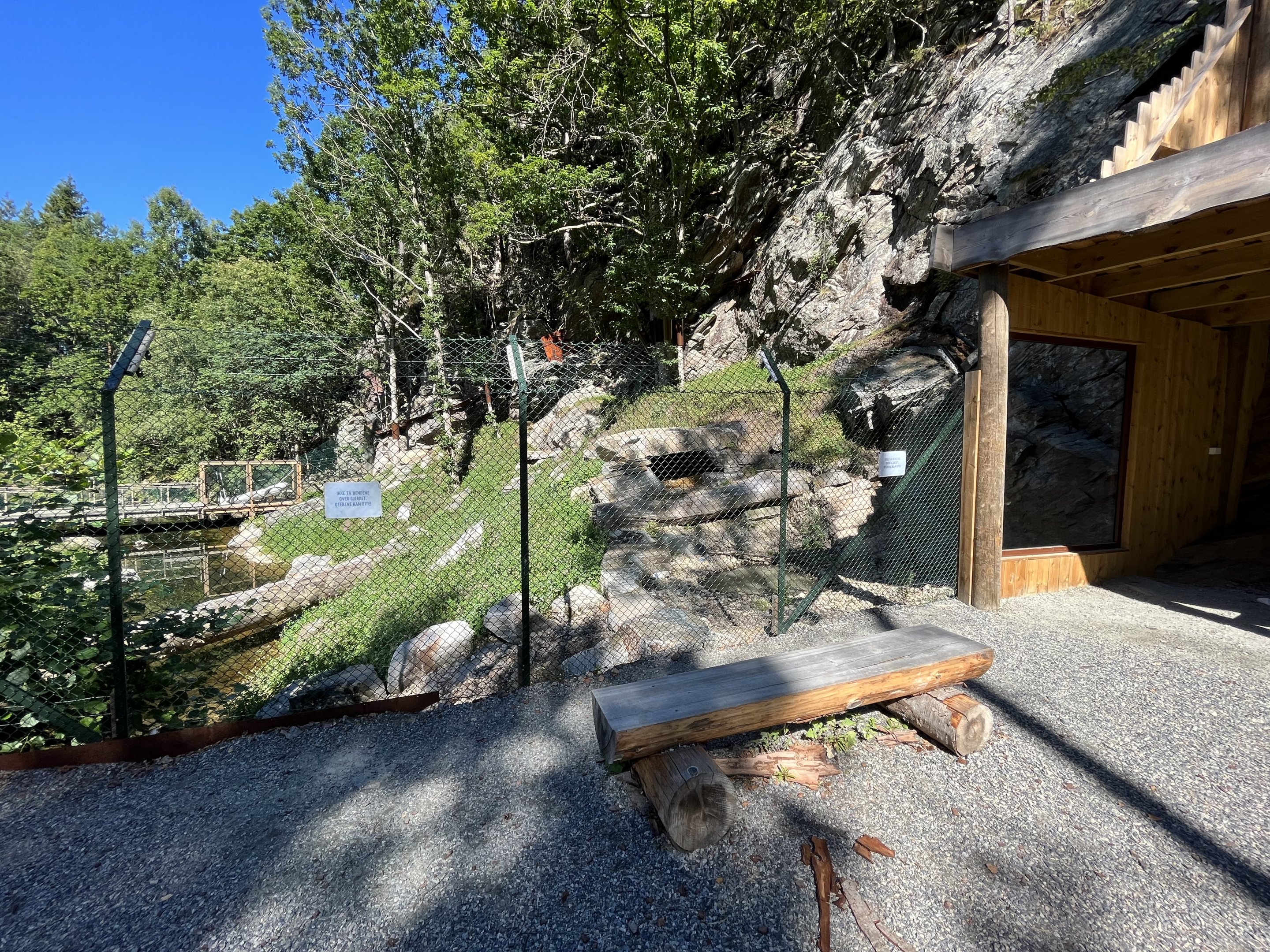 European Otter Exhibit