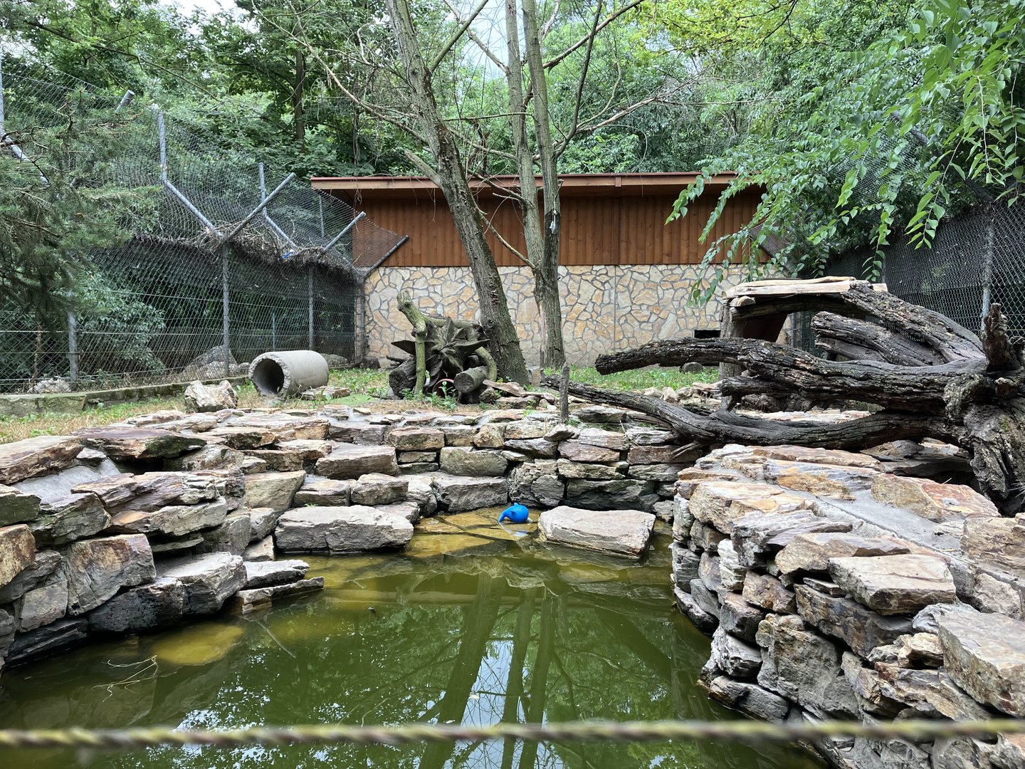 European otter exhibit