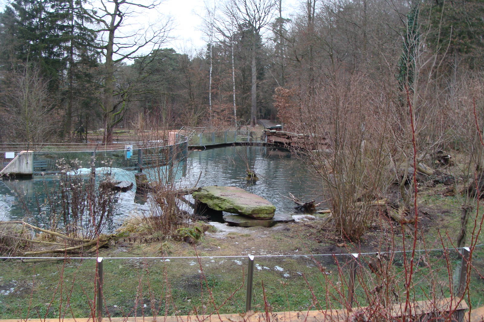 european otter exhibit