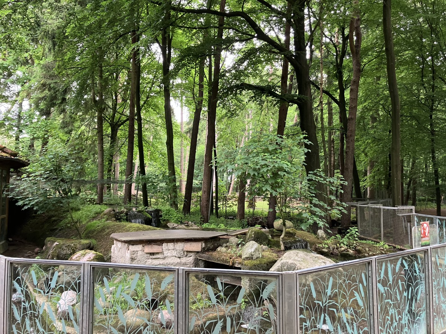 European otter exhibit