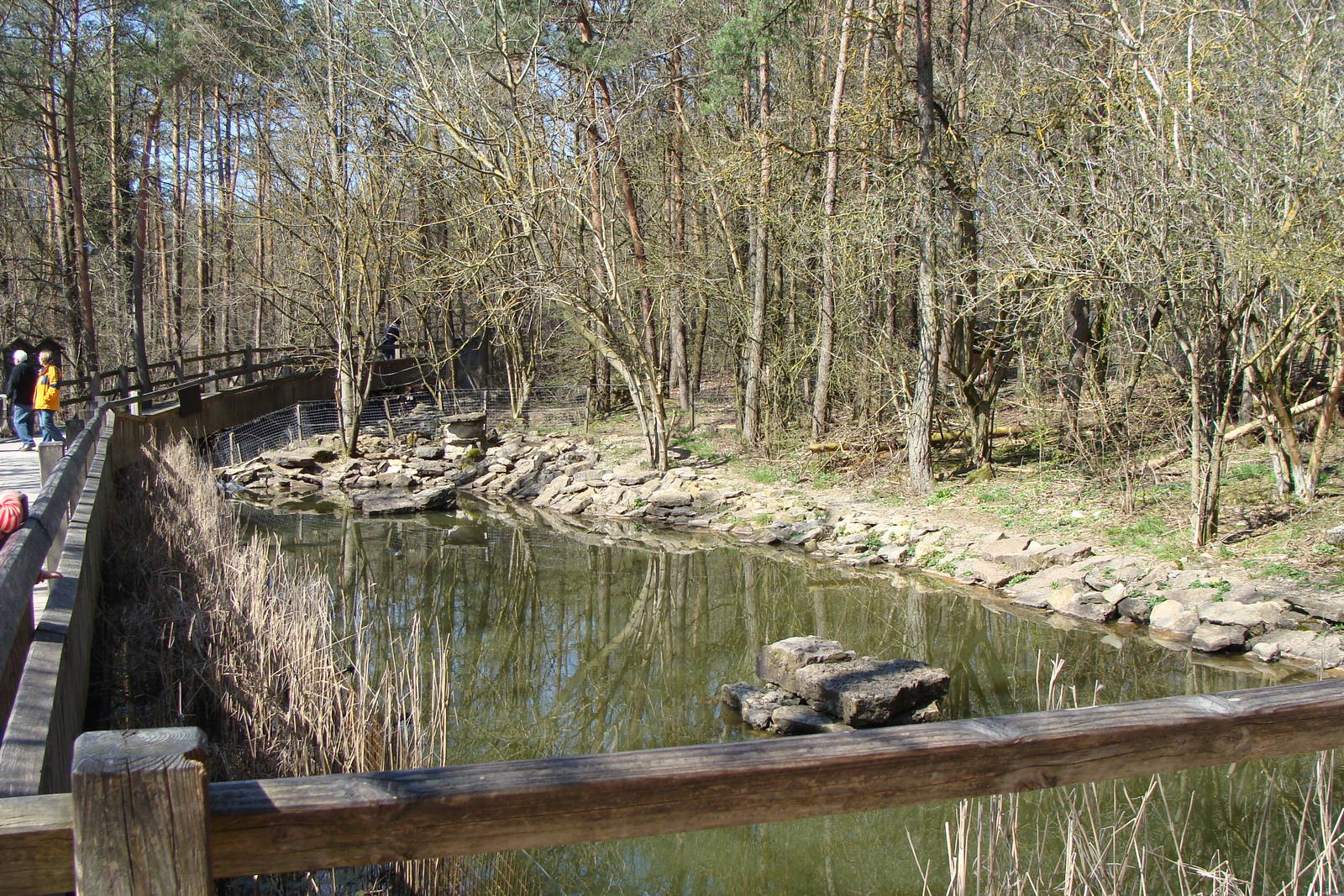 european otter exhibit