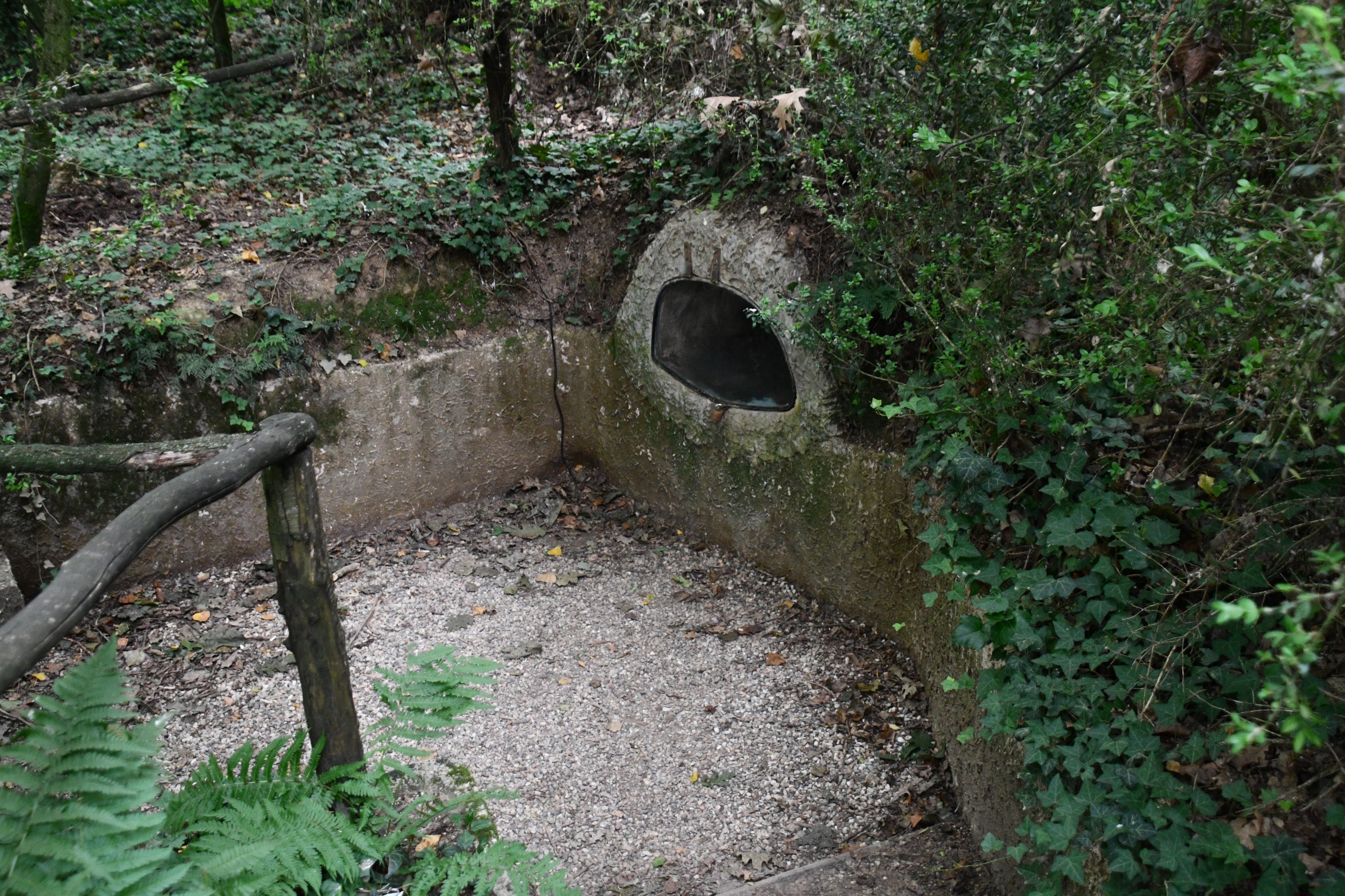 European Otter exhibit's den
