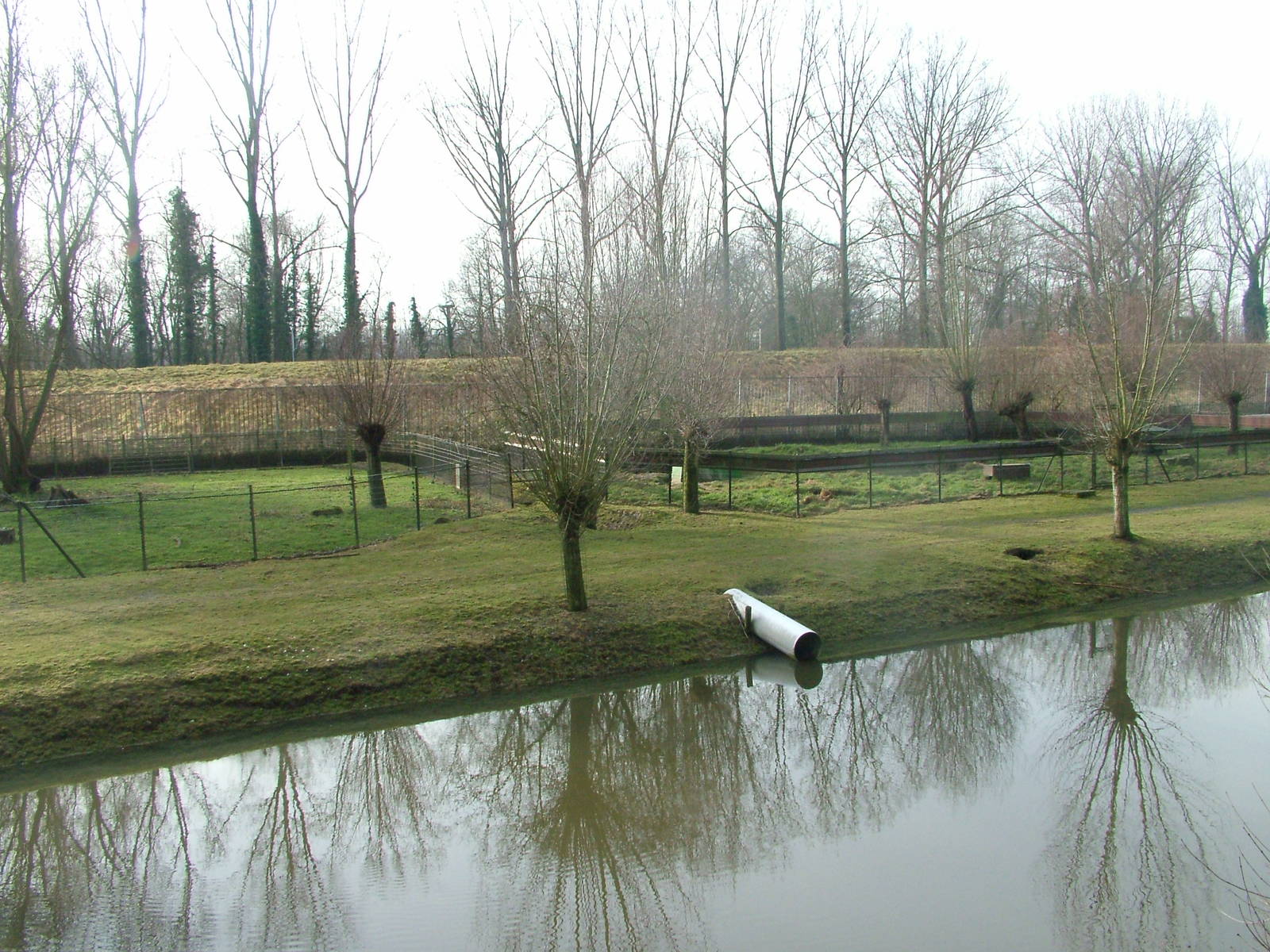 European Otter pens at Planckendael Jan 09