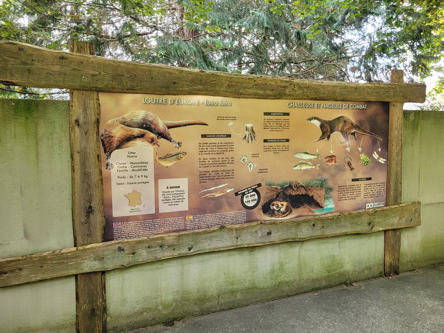 European otter sign -Parc Animalier des Pyrénées (2023)