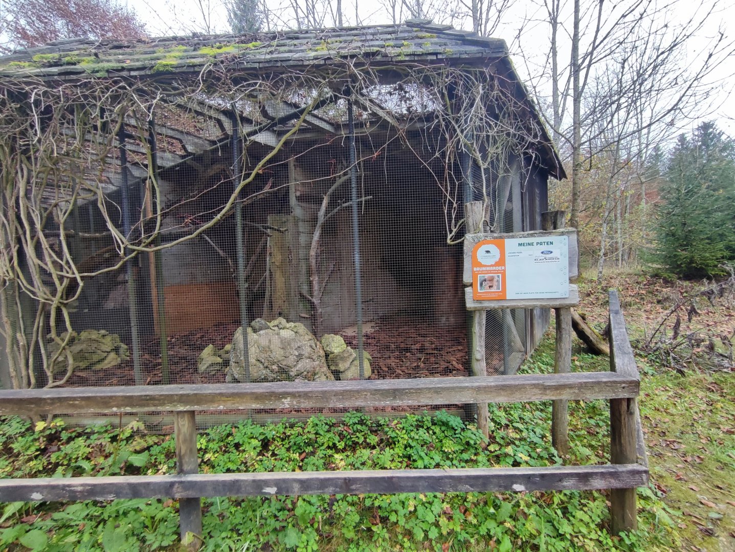 European pine marten enclosure 1 - Wildpark Grünau/Cumberland