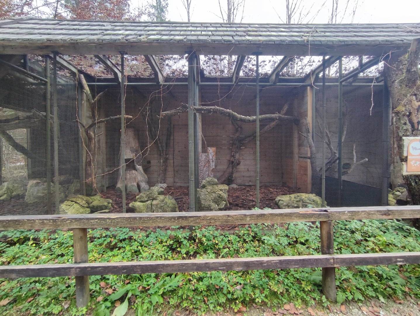 European pine marten enclosure 2 - Wildpark Grünau/Cumberland
