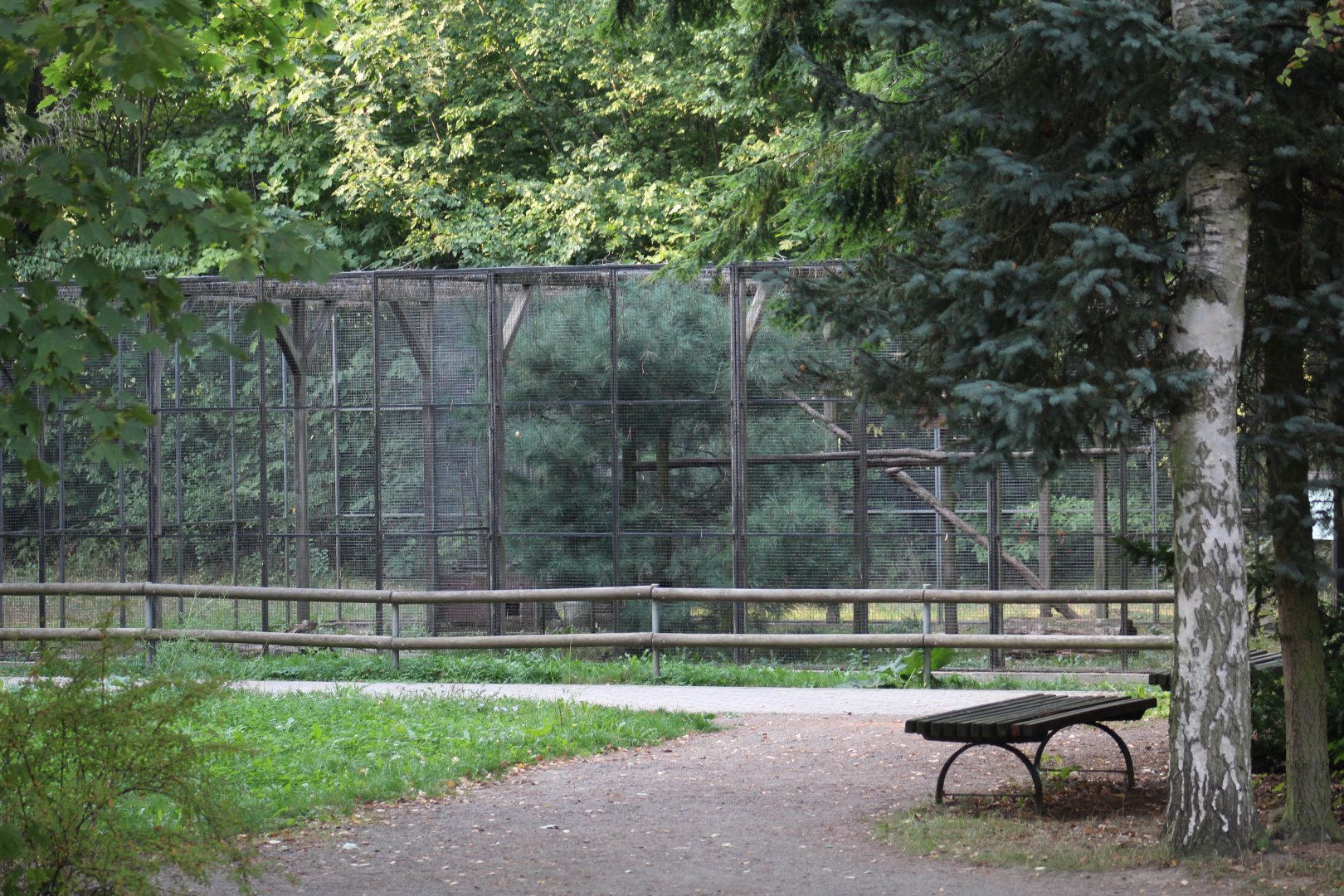 European Pine Marten Enclosure