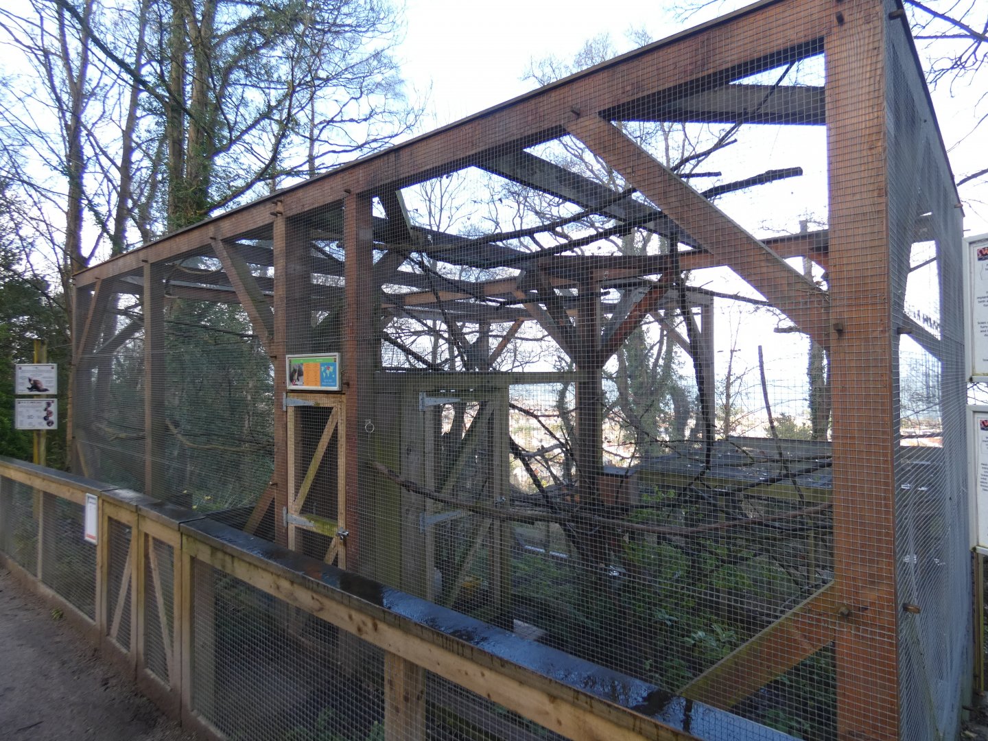 European pine marten enclosure