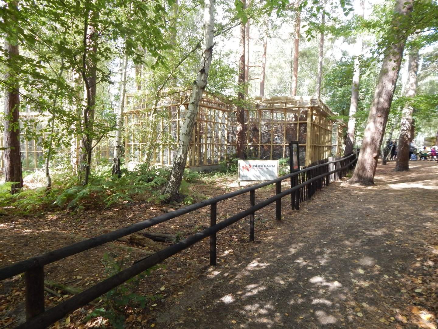 European pine marten habitat 030924