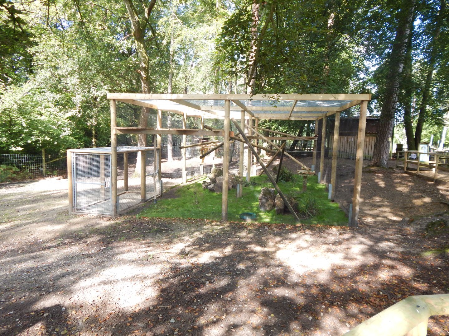 European pine marten habitat 130924