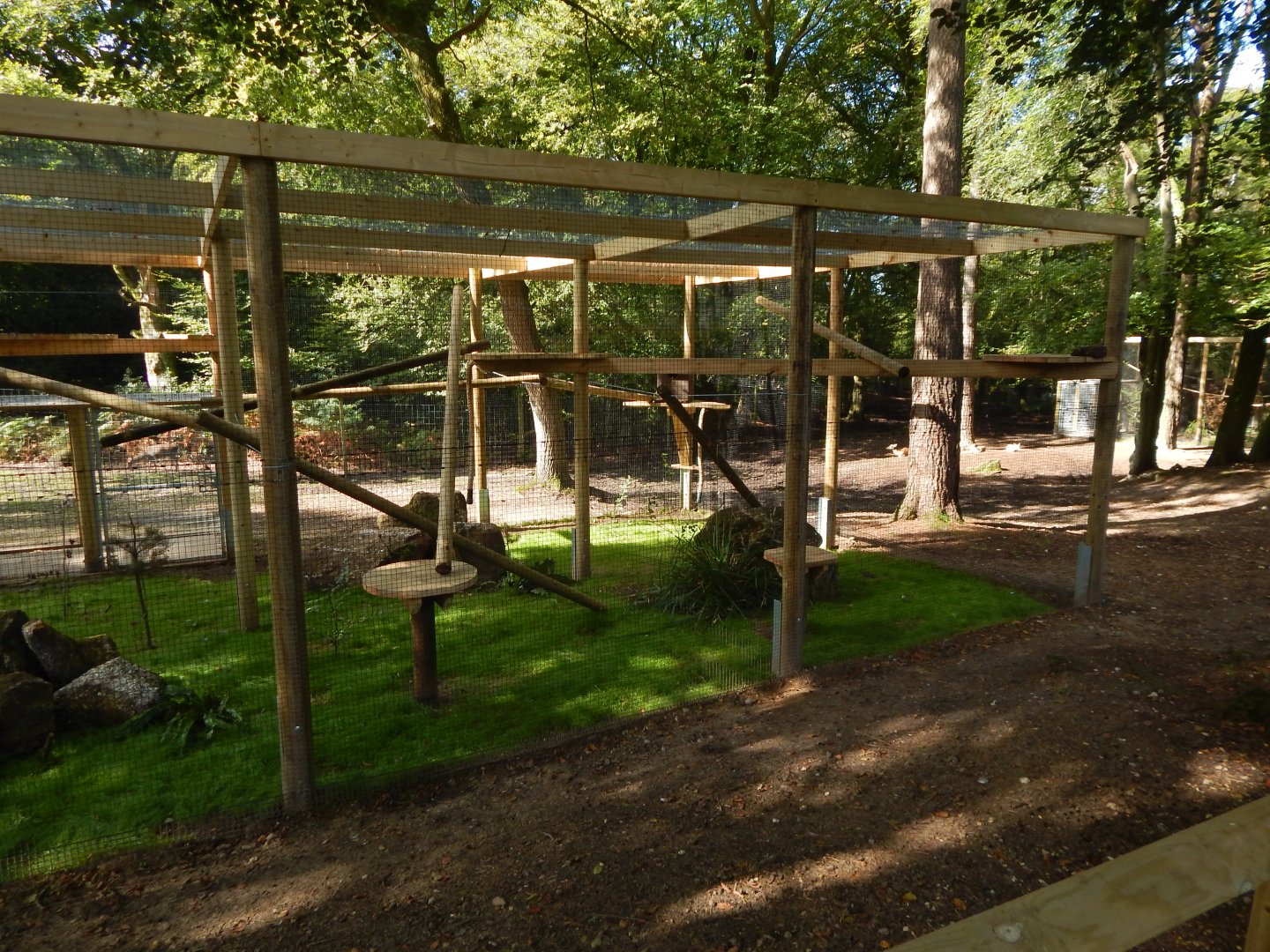 European pine marten habitat 130924