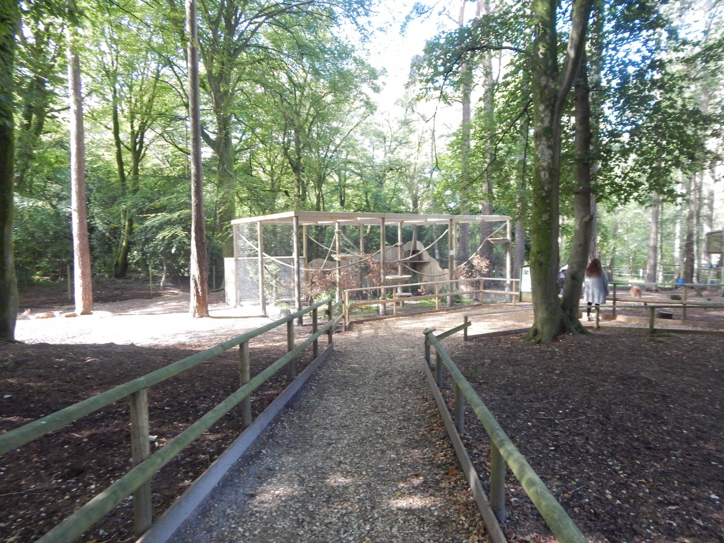 European pine marten habitat no.2 130924