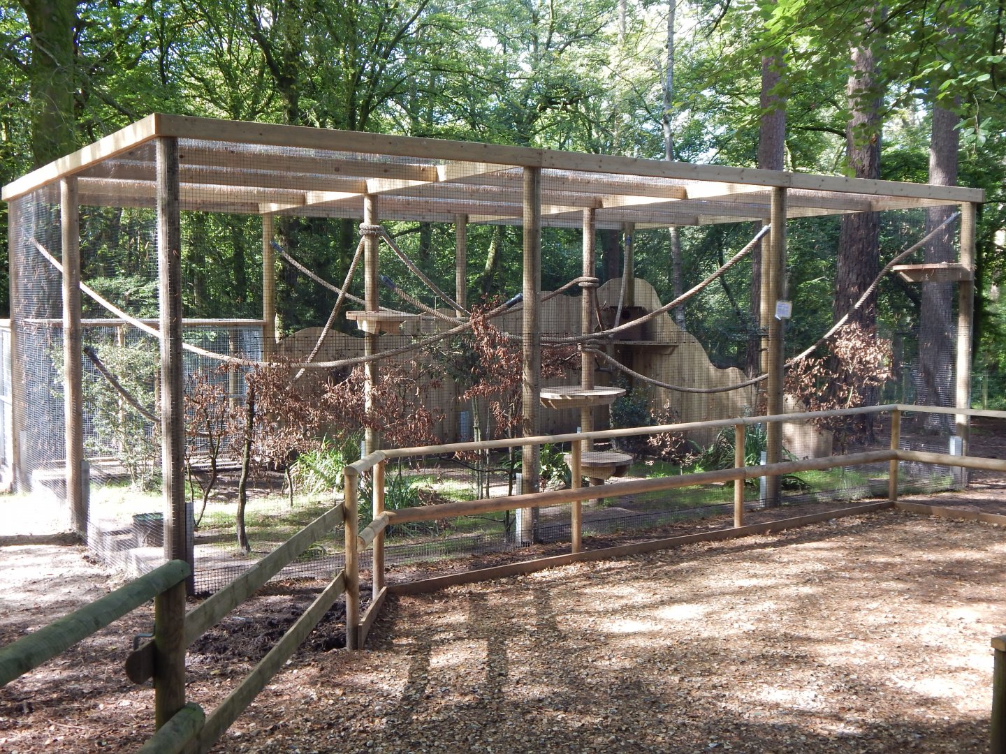 European pine marten habitat no.2 130924