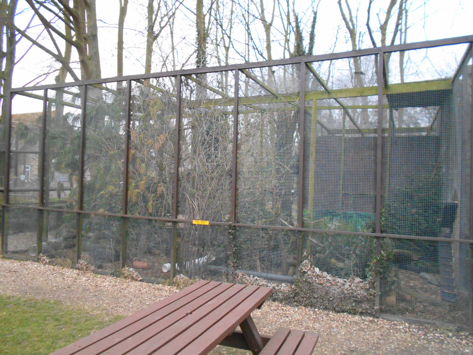 European Polecat enclosure - March 15th 2016