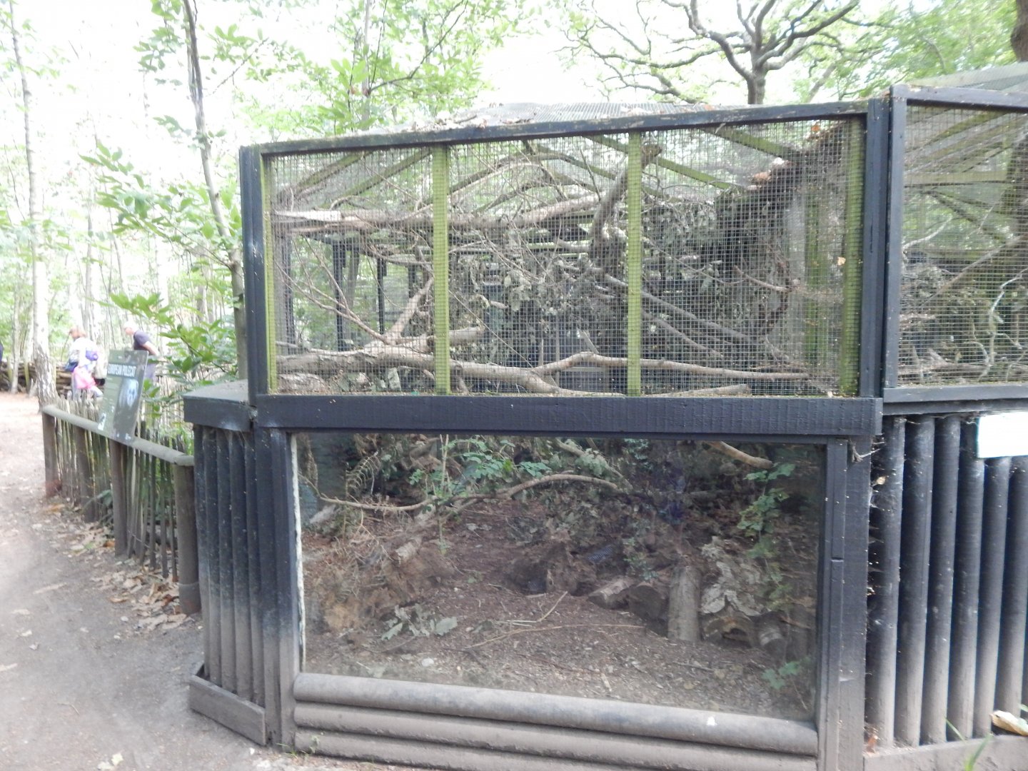 European polecat habitat 030924