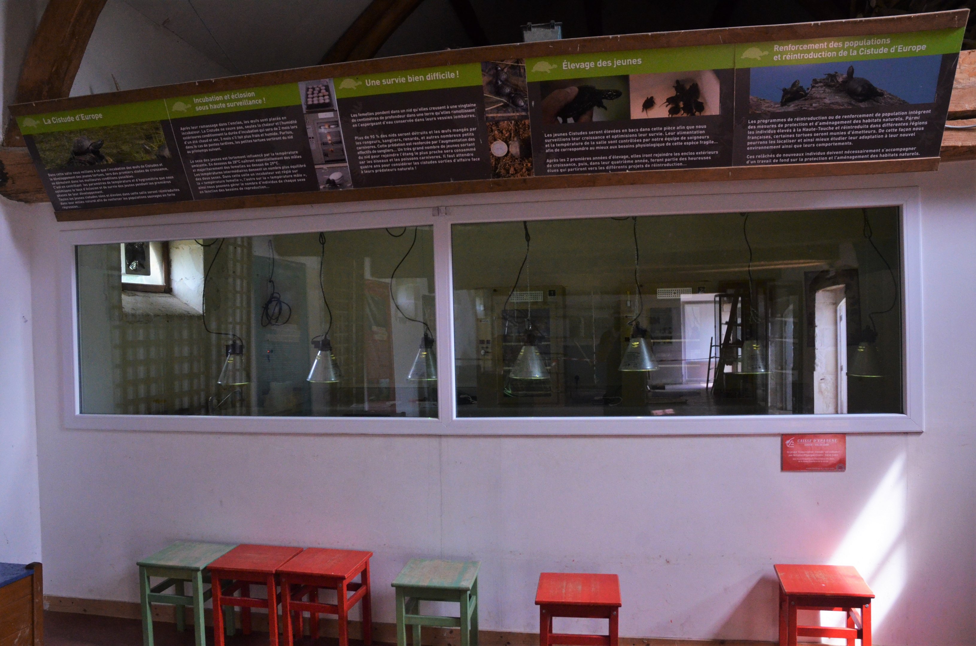 European Pond Terrapin Rearing Area at Haute-Touche, 14/06/18