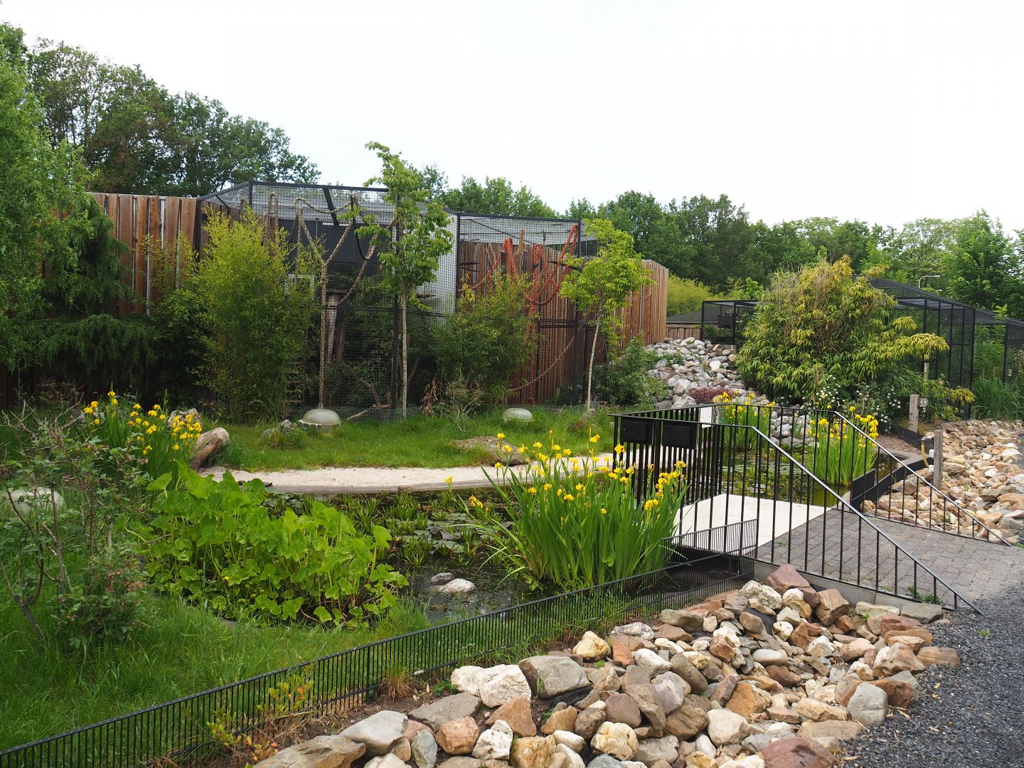 European pond turtle and Three-spined stickleback pond and White-nosed coati exhibit, 2022-05-17