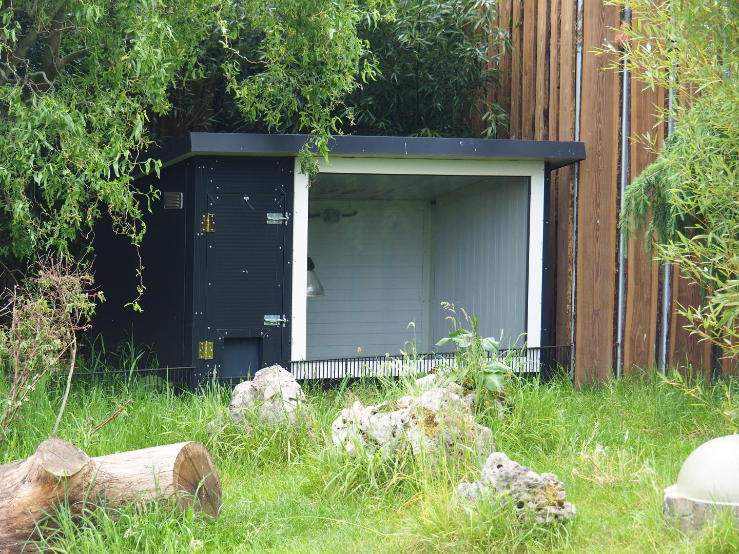 European pond turtle barn, 2022-05-17