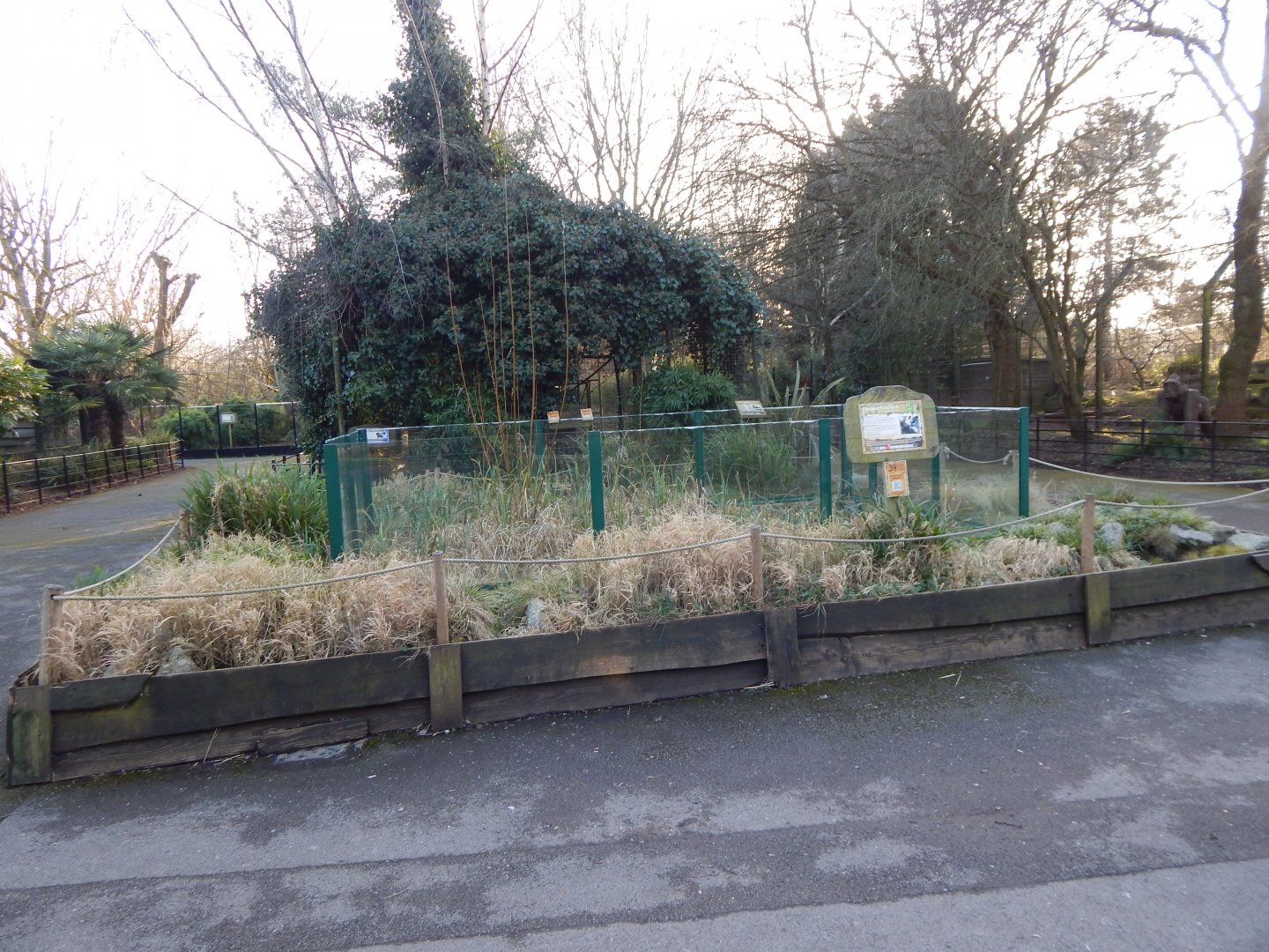 European pond turtle enclosure 260124