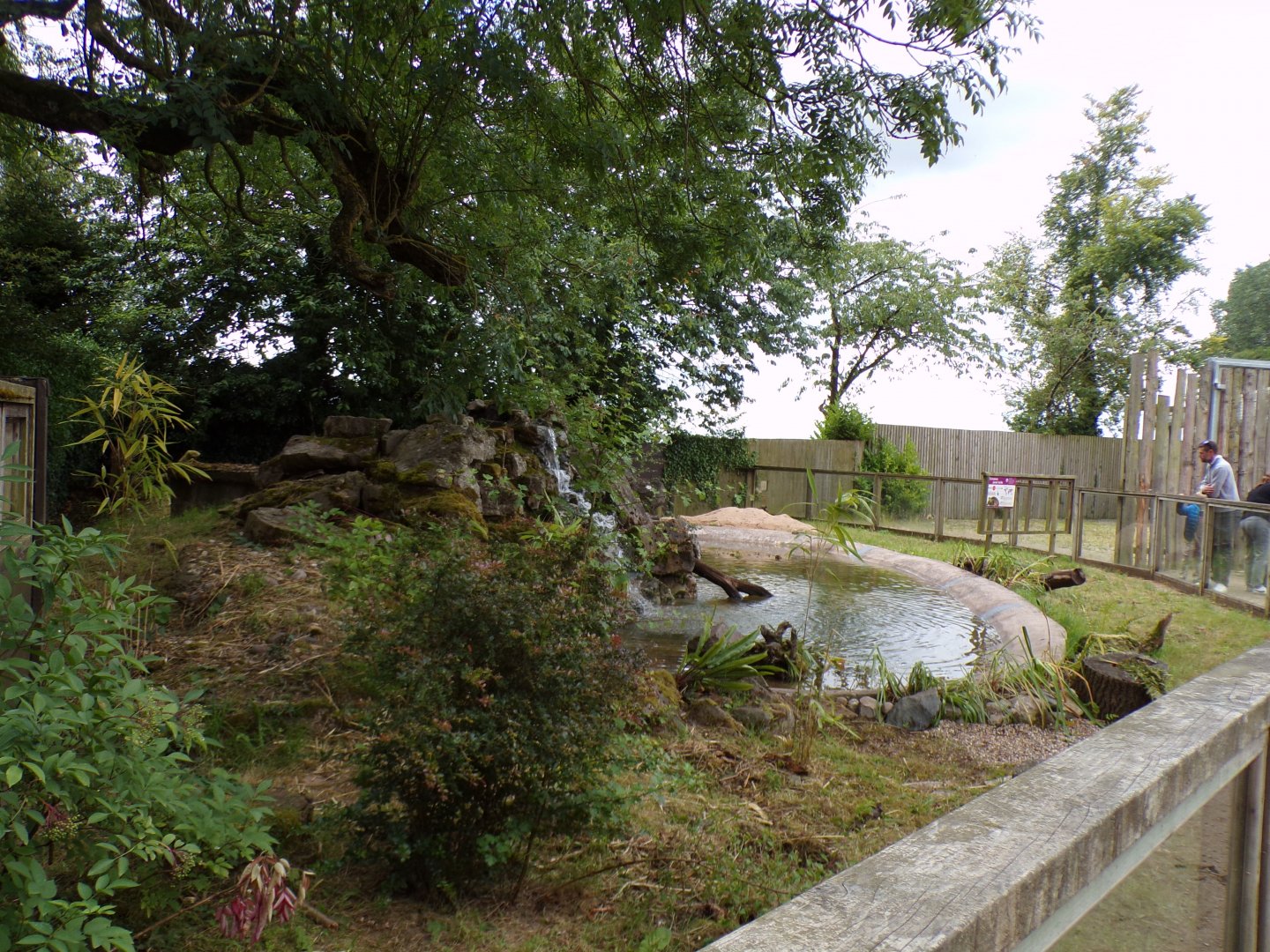 European pond turtle enclosure (former otter) 7.7.24