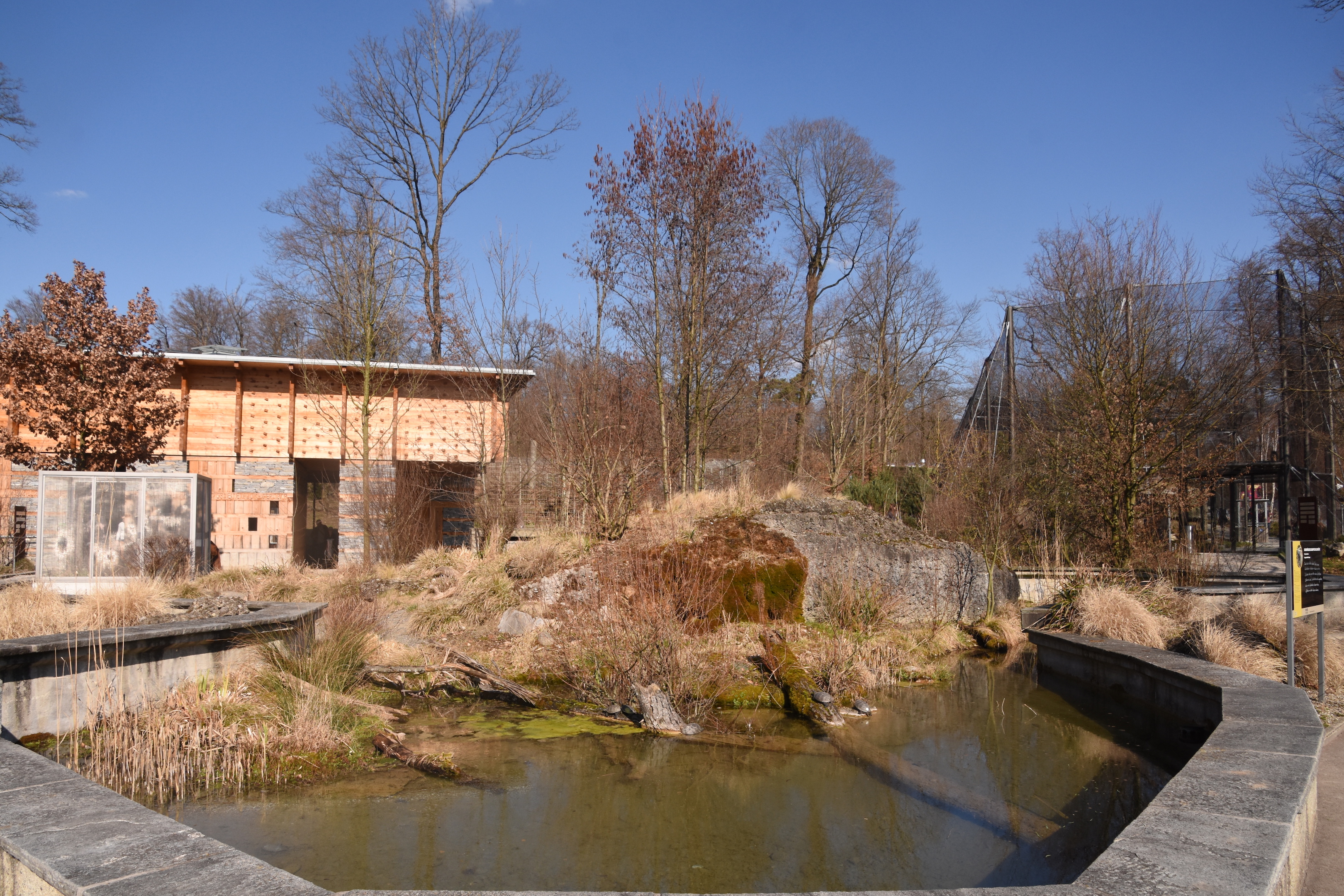 European pond turtle enclosure