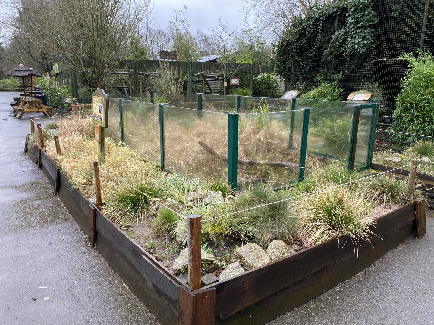 European pond turtle exhibit 150220