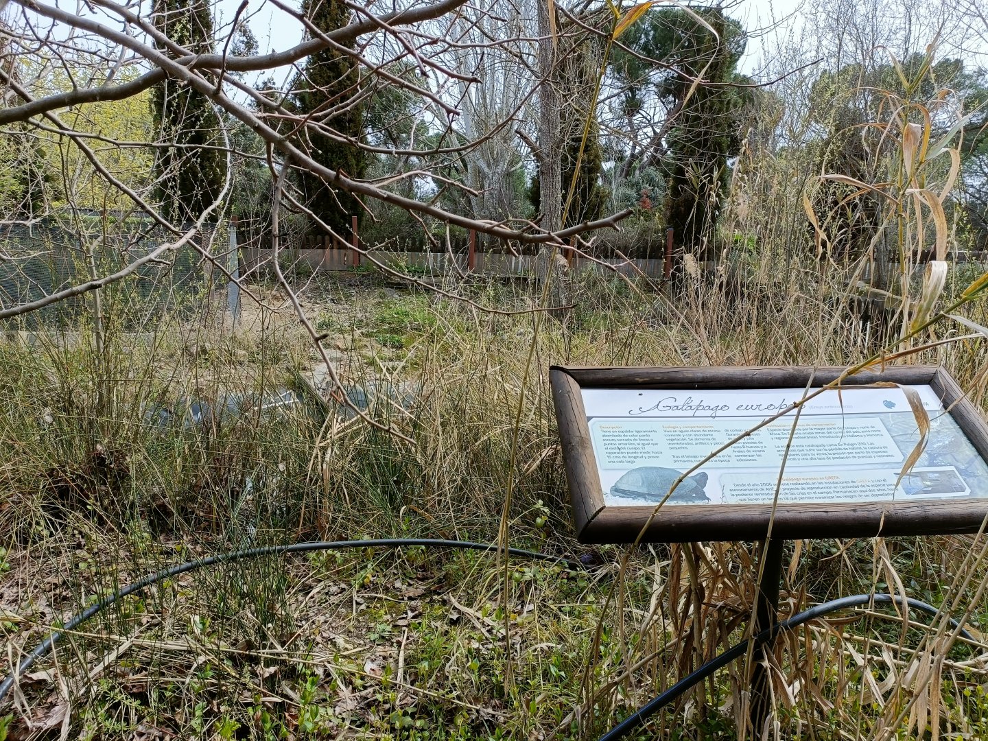 European pond turtle exhibit - GREFA