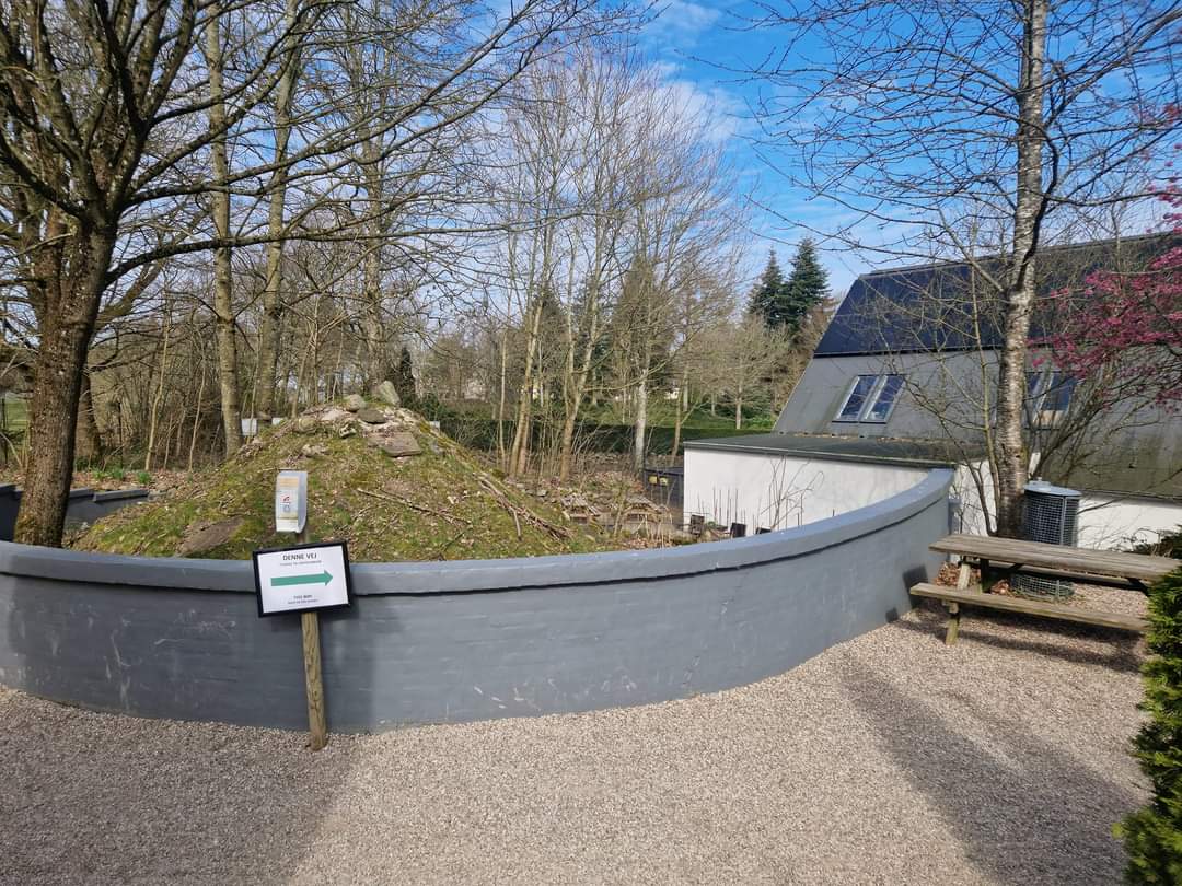 European pond turtle exhibit