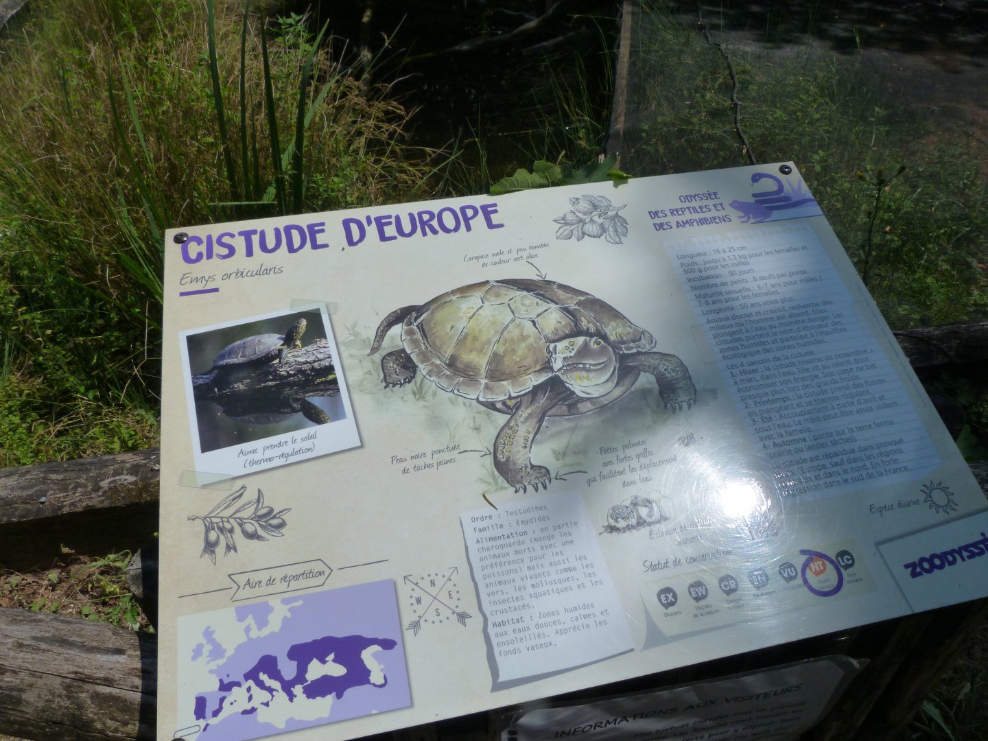 European pond turtle sign -Zoodyssée (2025)