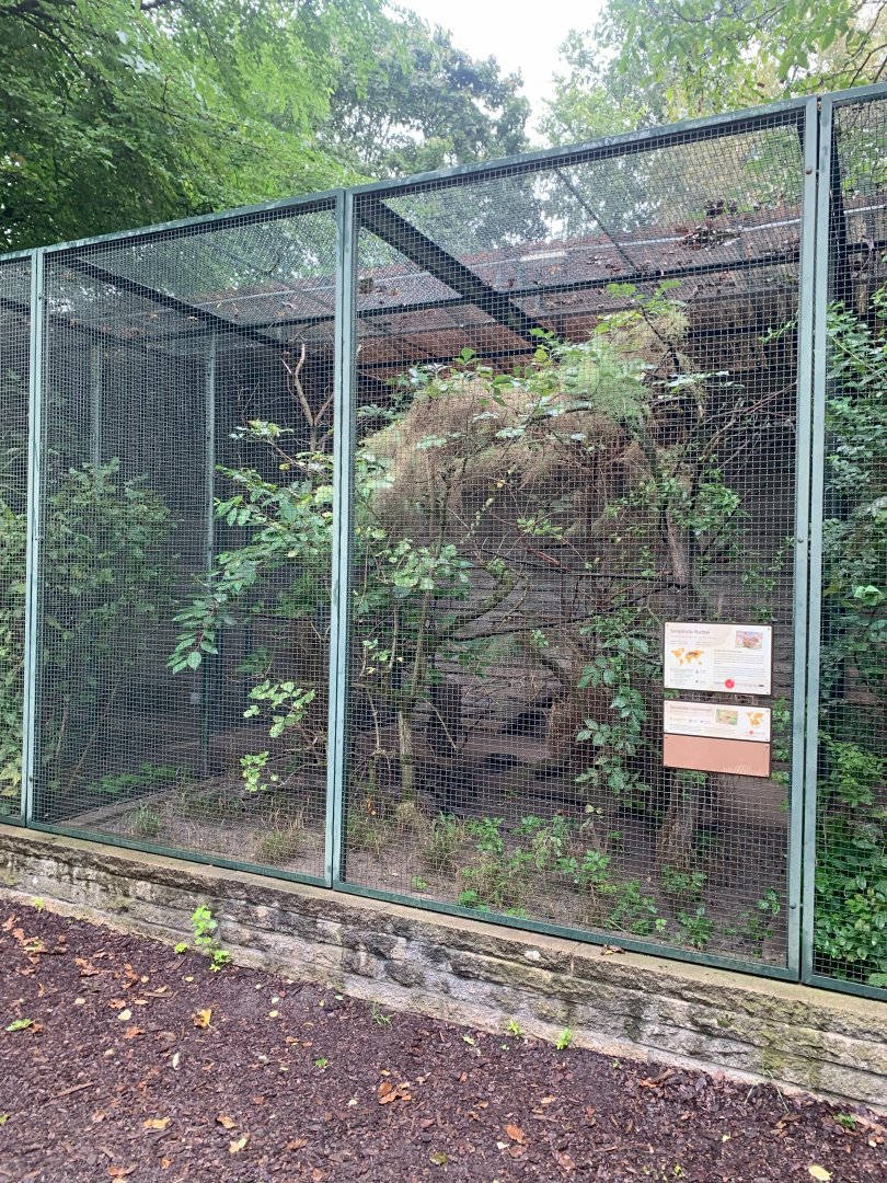 European Quail and Red-billed Leiothrix aviary (example pheasantry aviary)