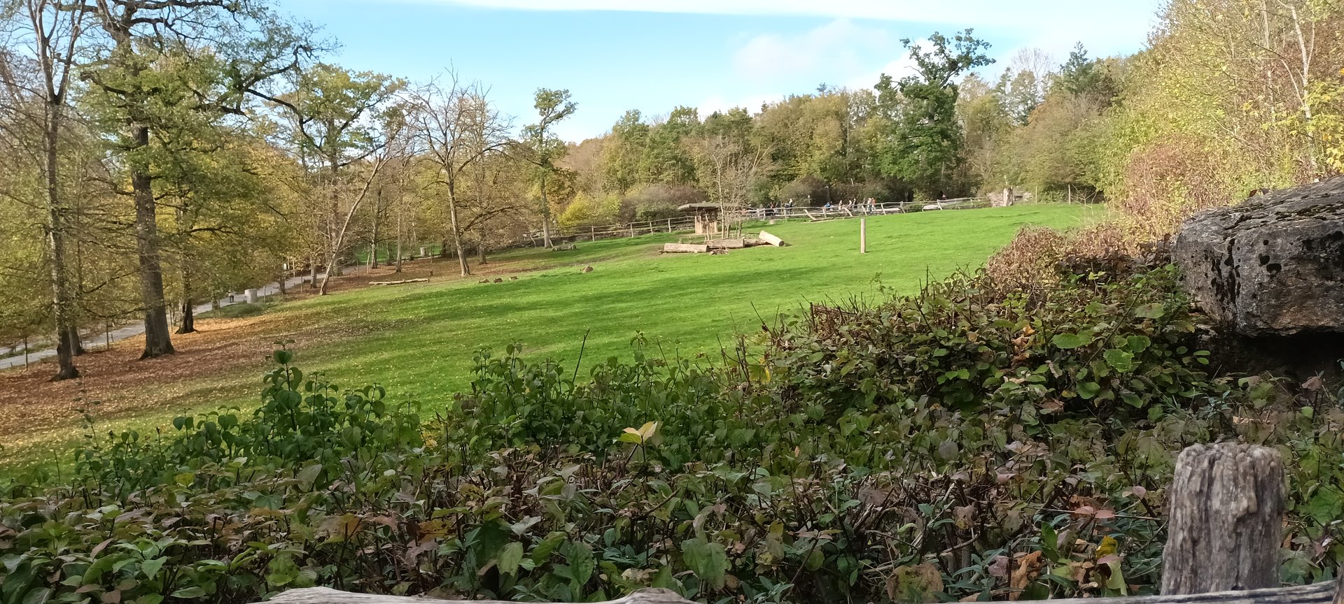 European red Deer Enclosure