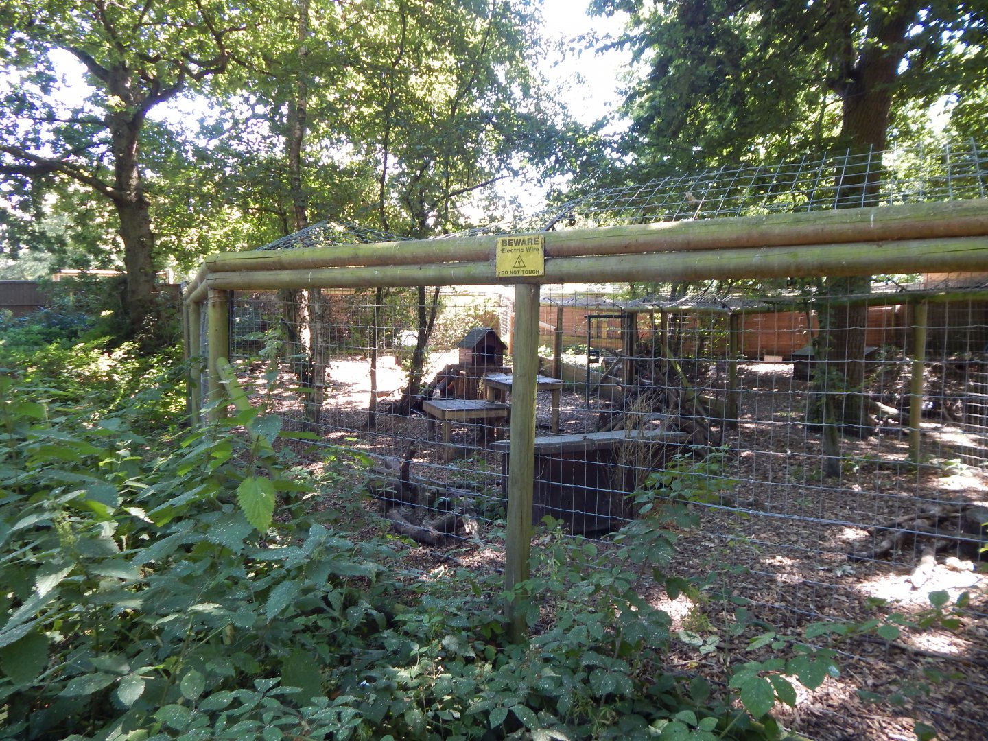 European red fox enclosure 100722