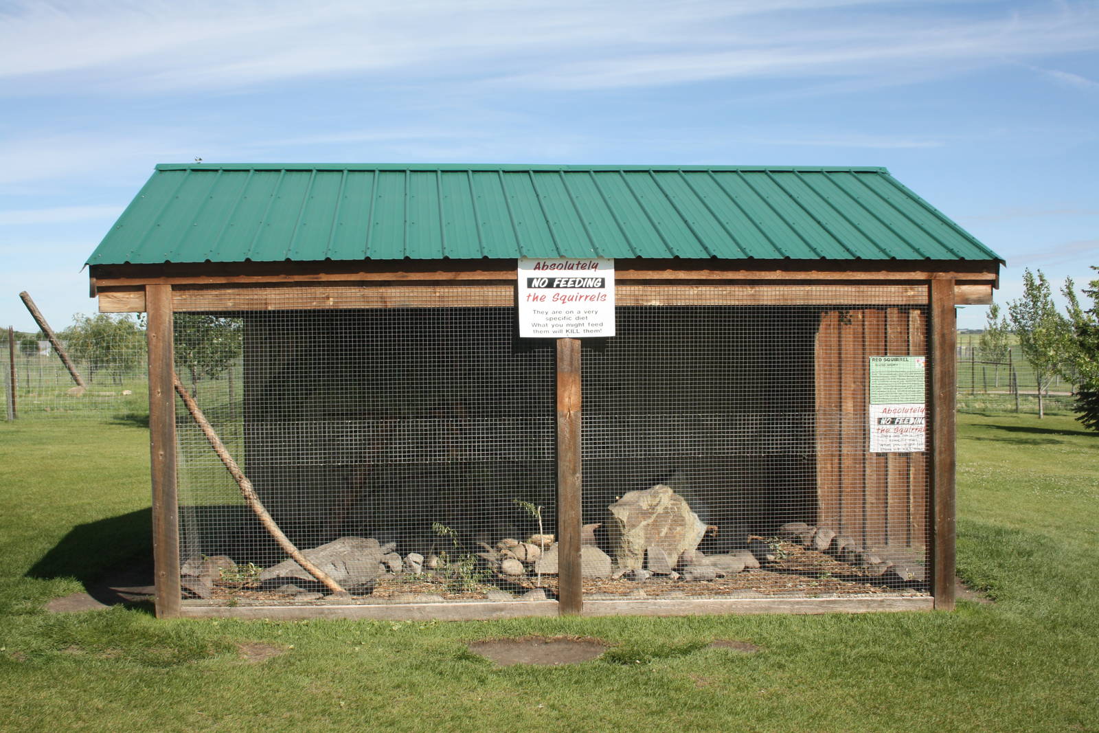 European Red Squirrel Exhibit