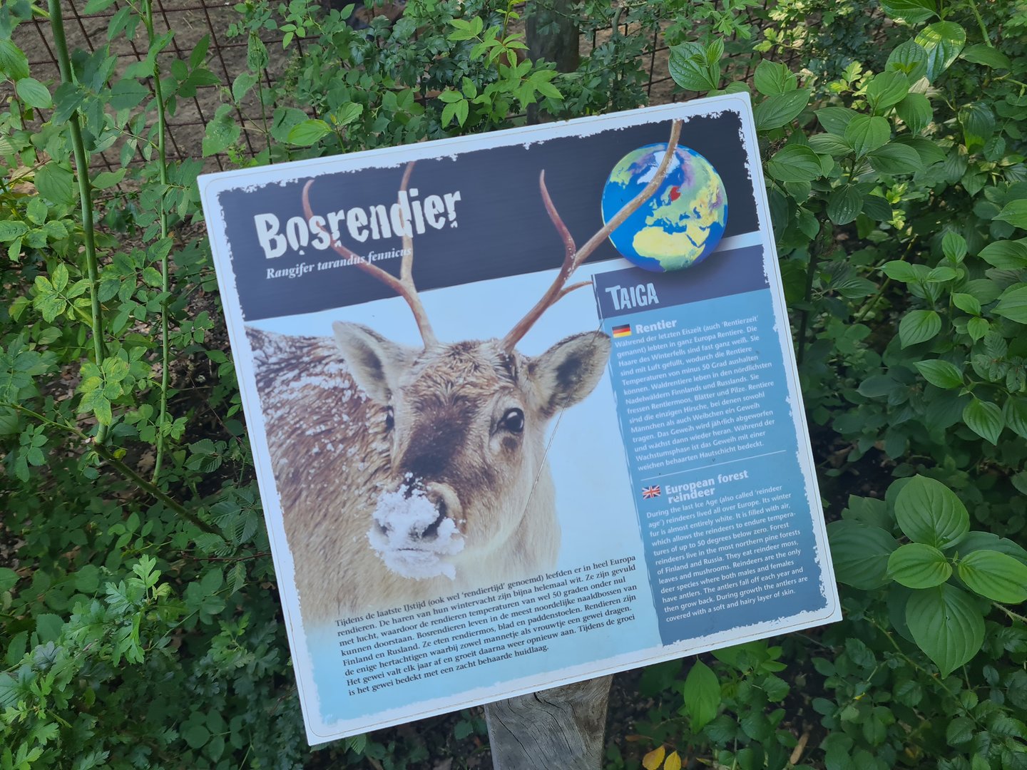 European reindeer signage
