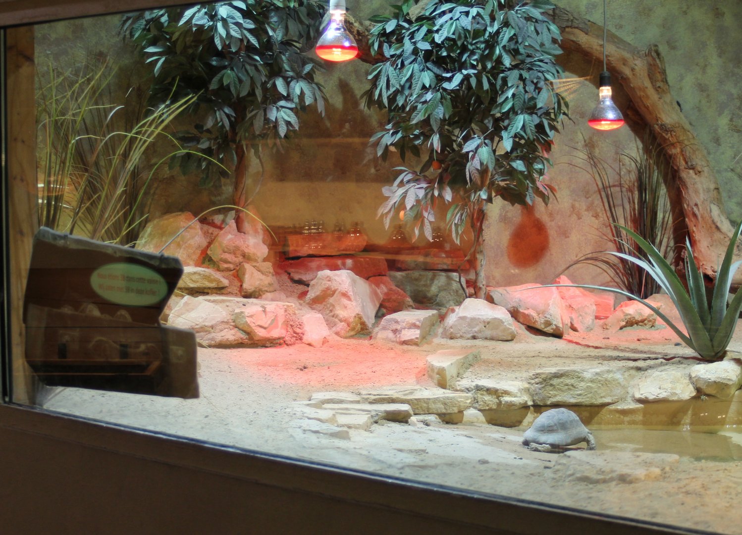 European reptile enclosure