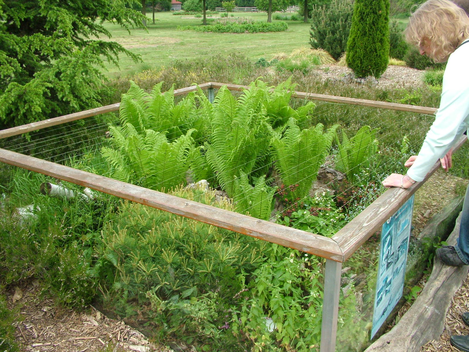 European reptile exhibit at Plantaria 14/05/09