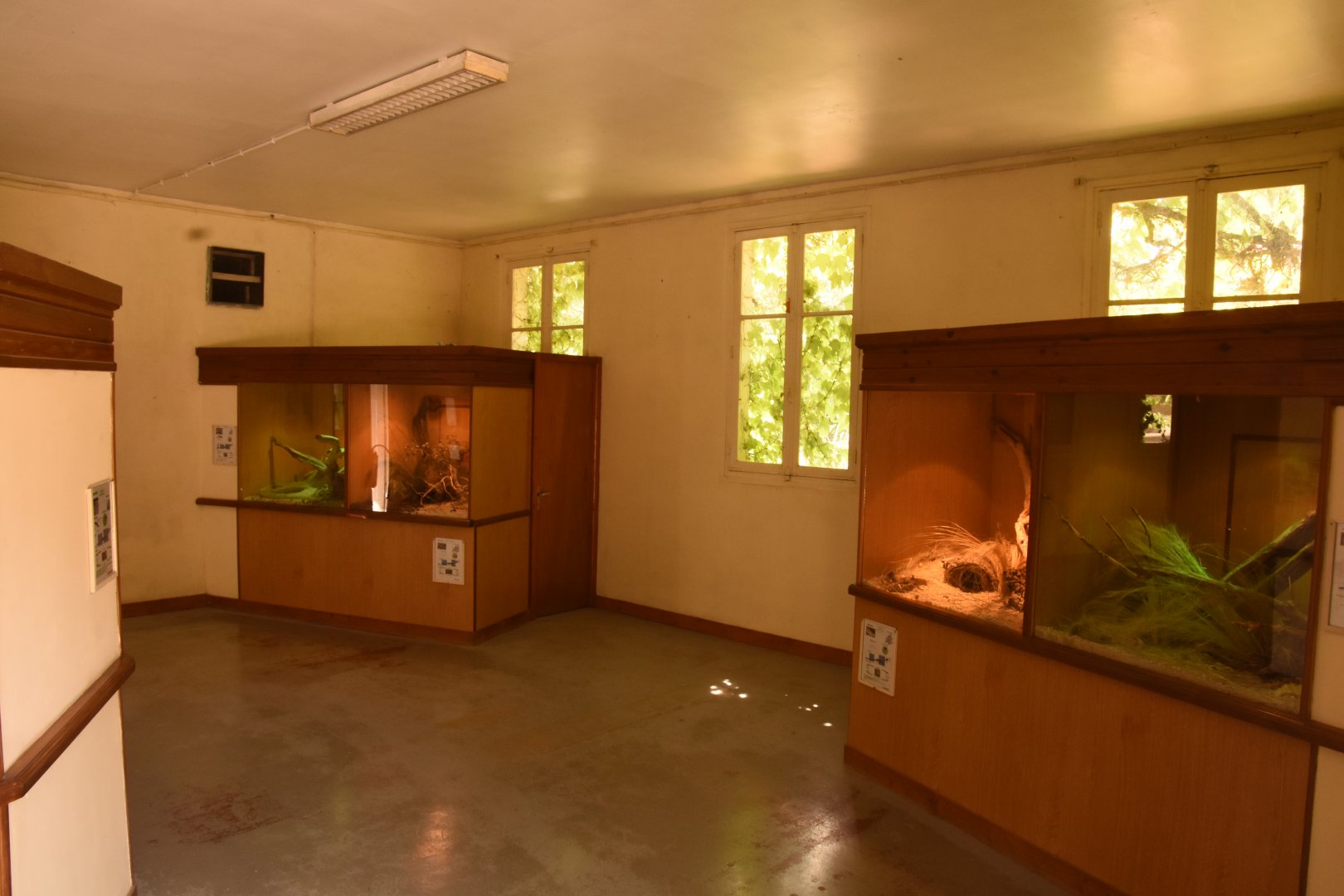 European reptile house