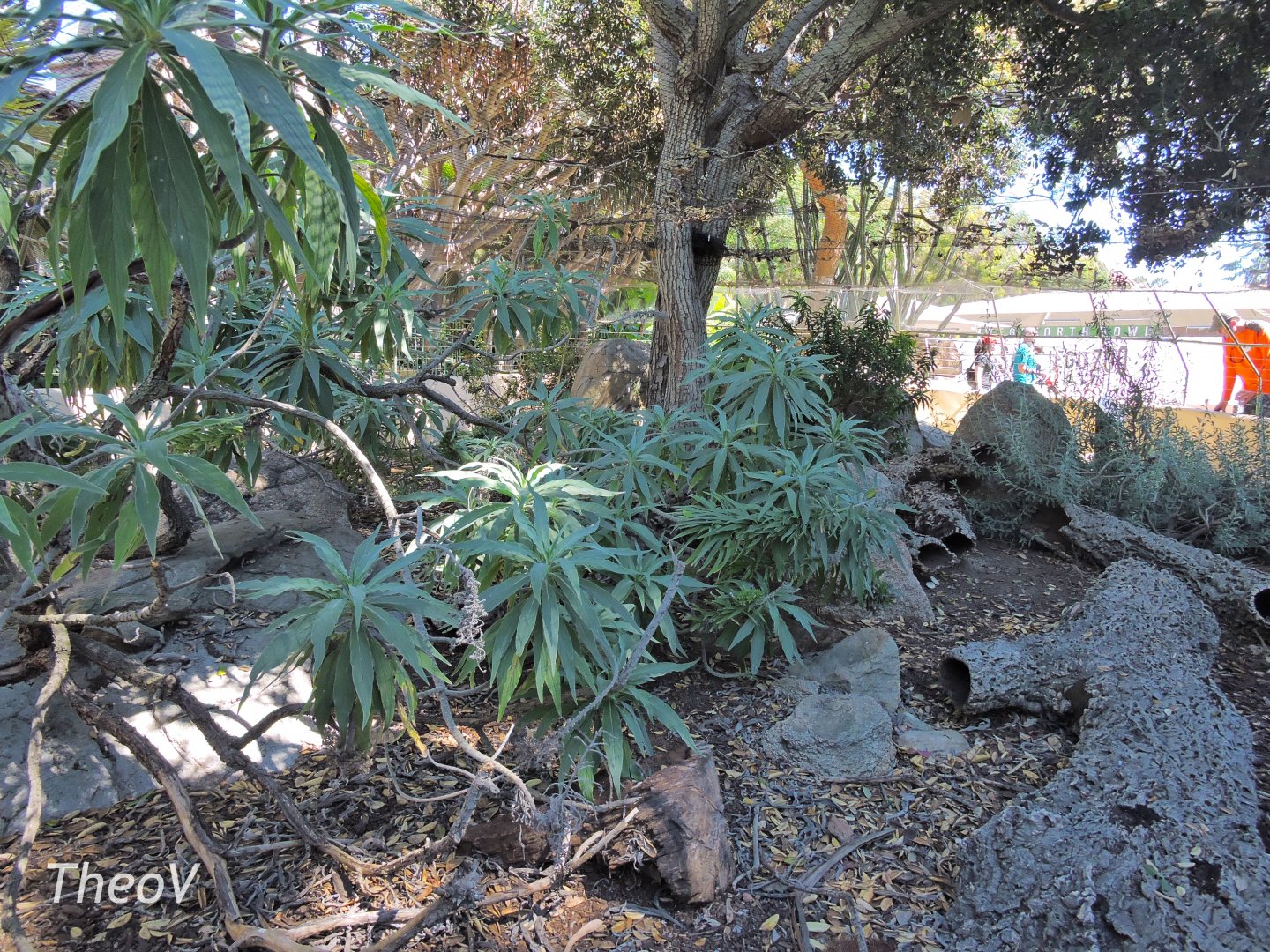 European reptiles exhibit - Discovery Outpost [2015]