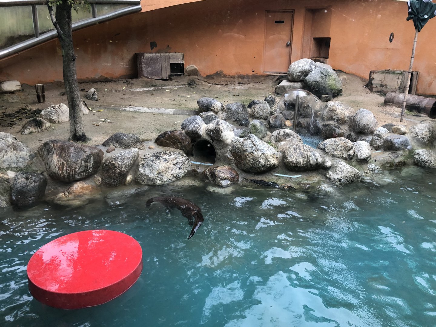 European River Otter Exhibit