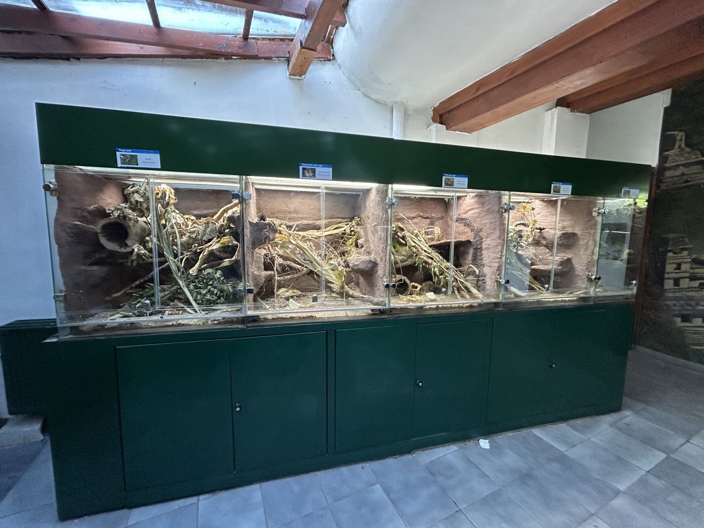 European Rodent Exhibits