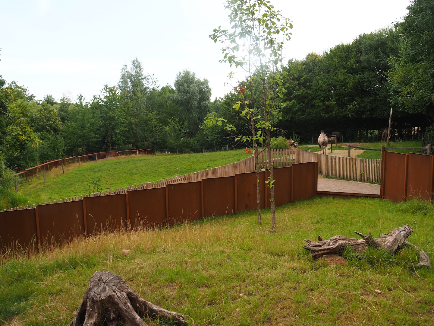 European souslik and Bactrian camel exhibit, 2023-07-18